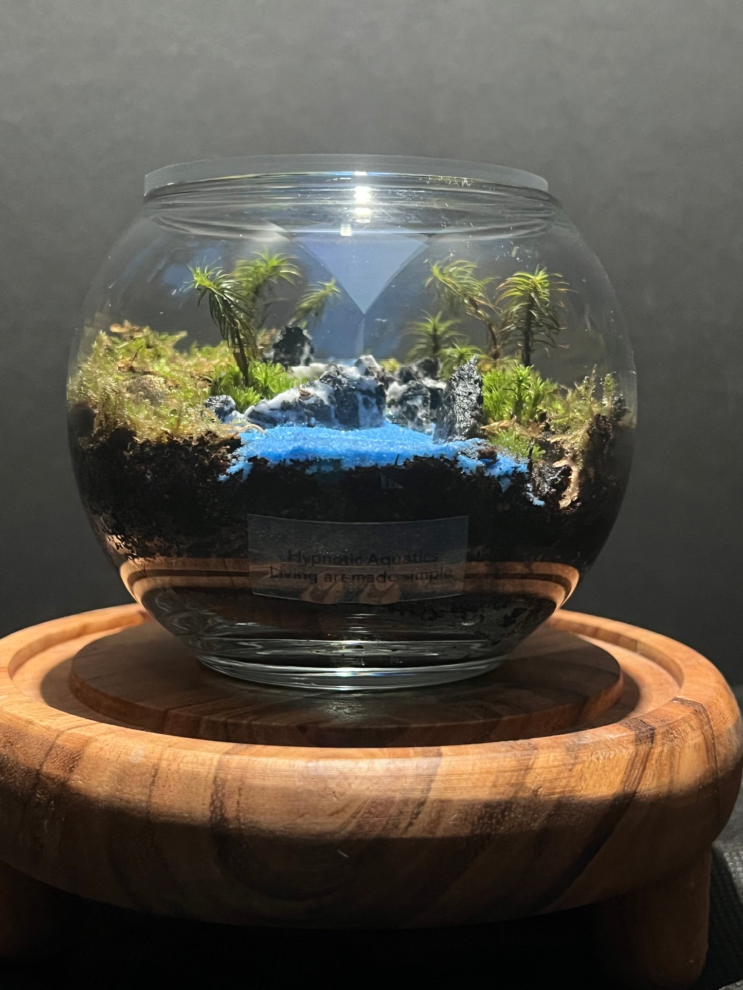 Terrarium 300