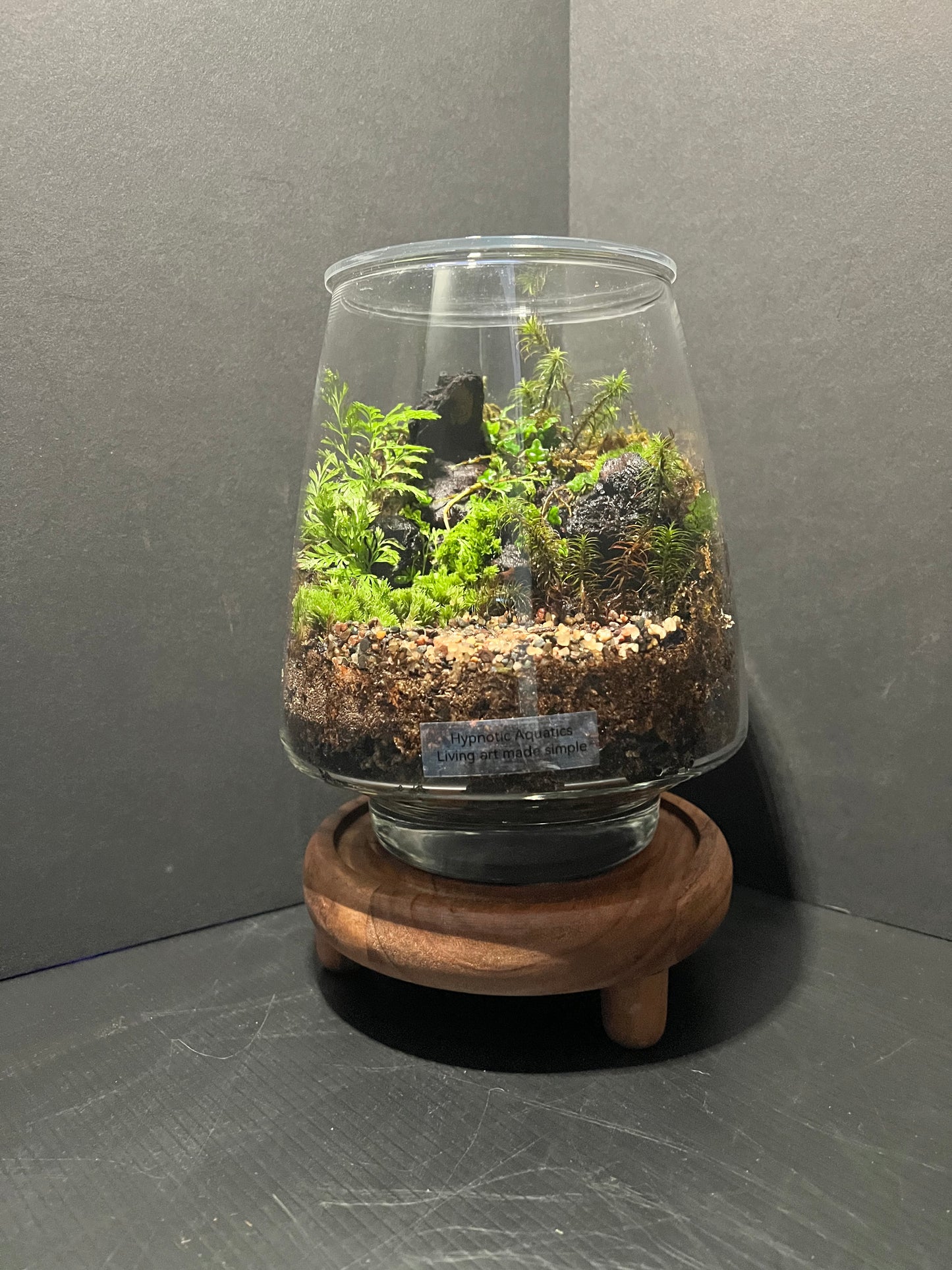 Terrarium 310