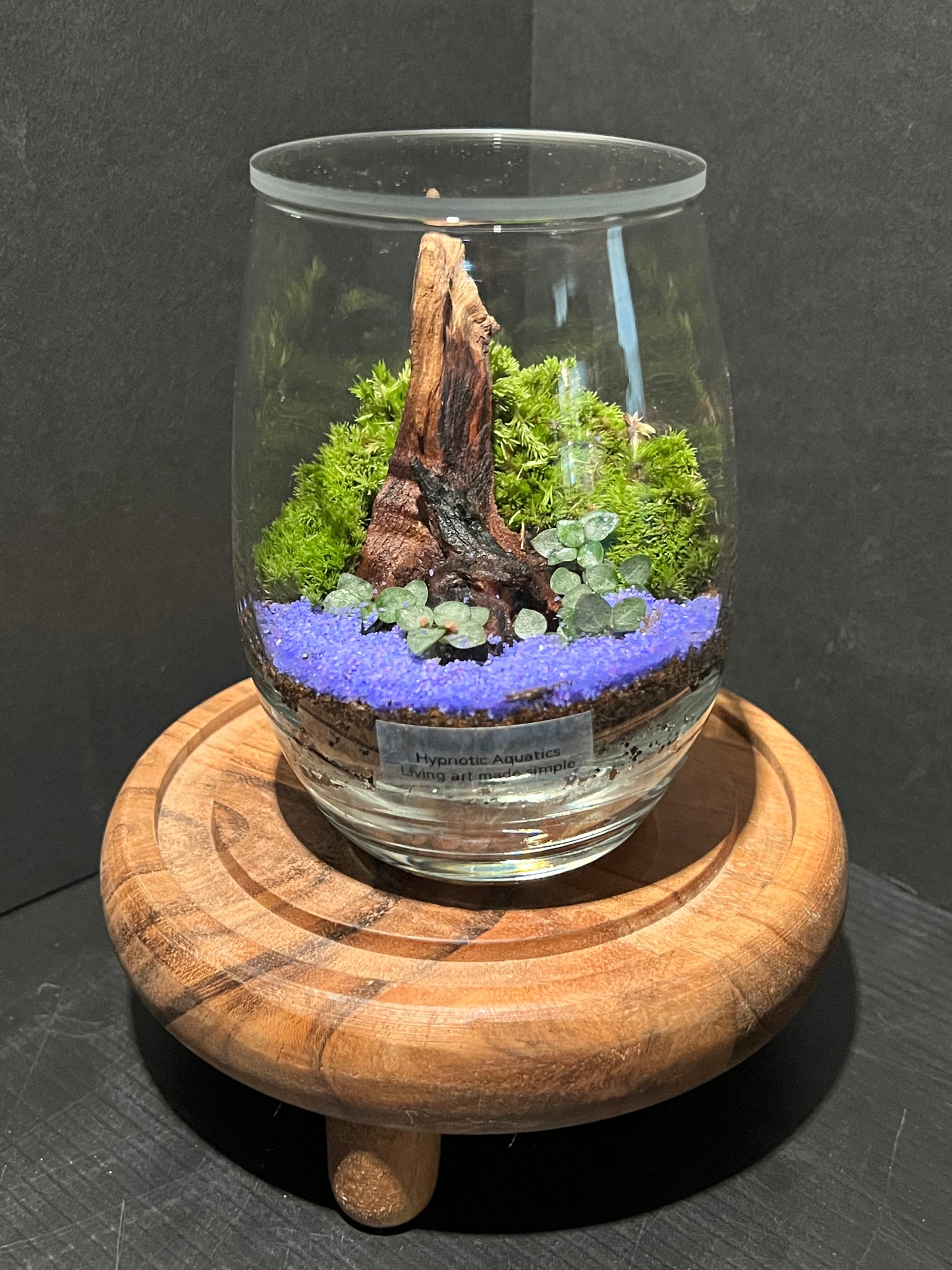 Terrarium 318