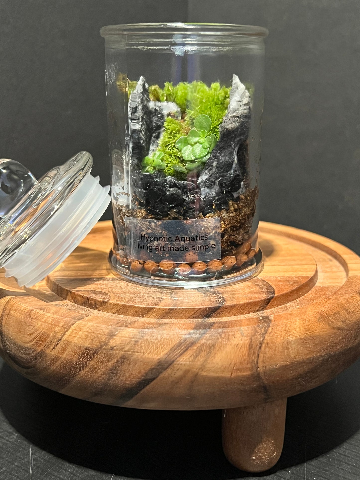 Terrarium 320