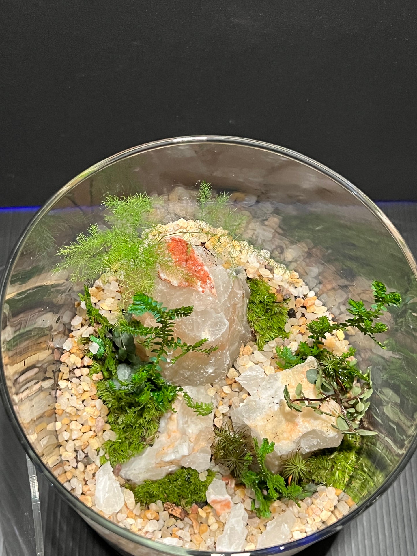 Terrarium 330