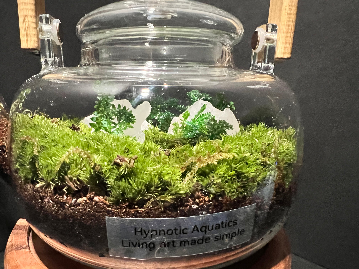 Terrarium 332