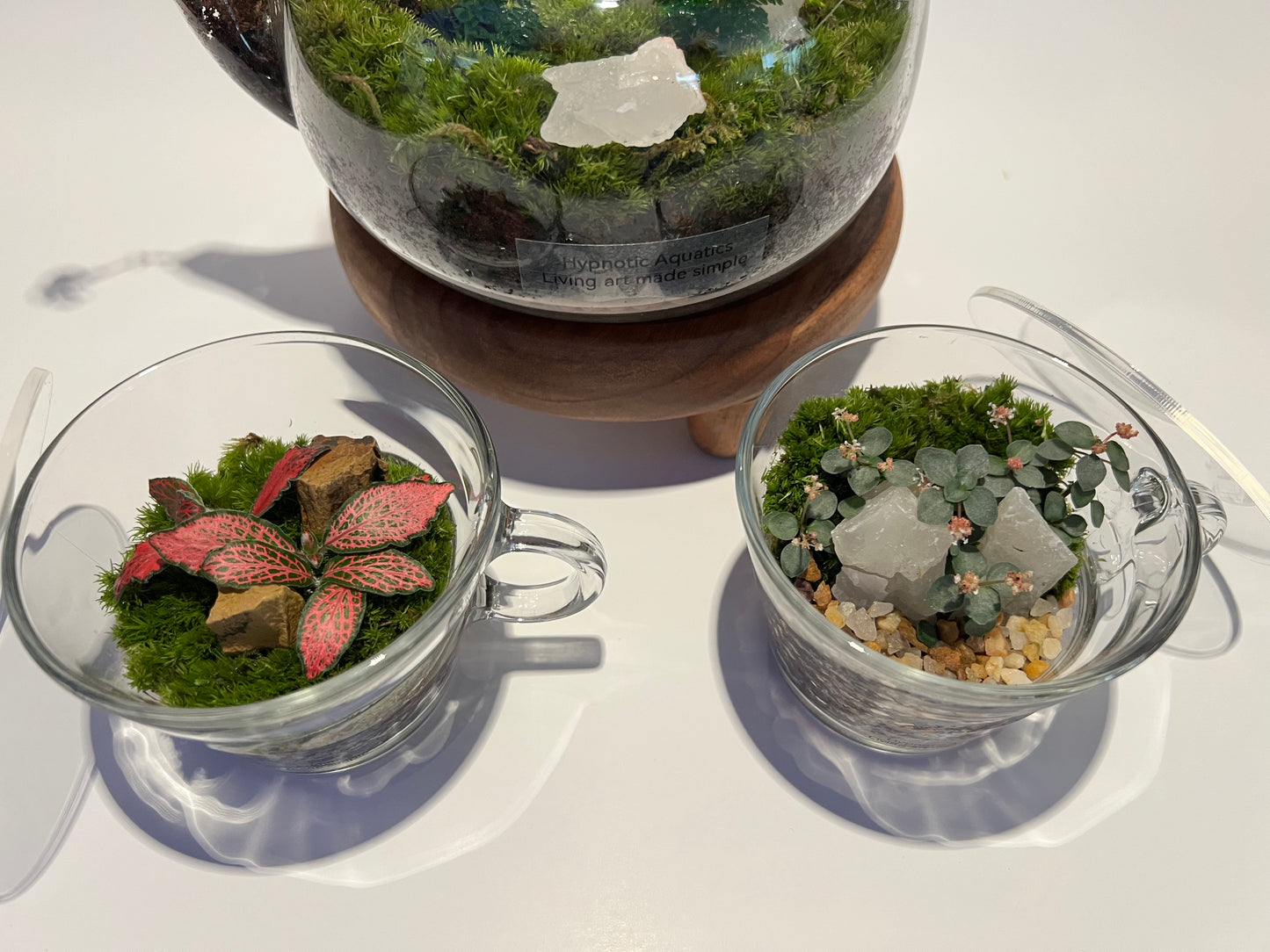 Terrarium 335