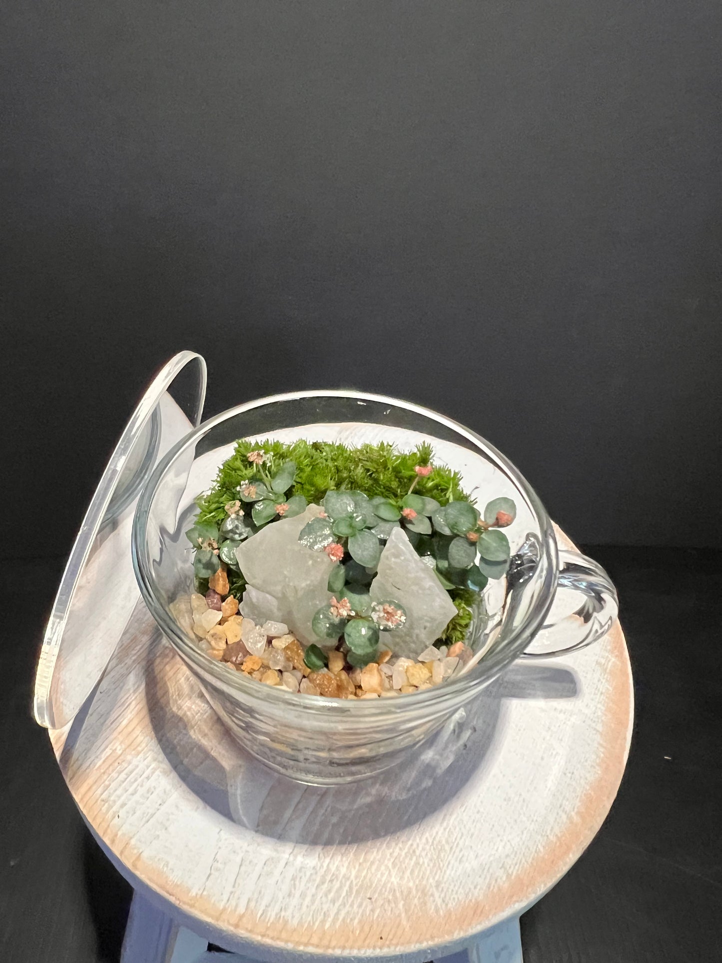 Terrarium 335