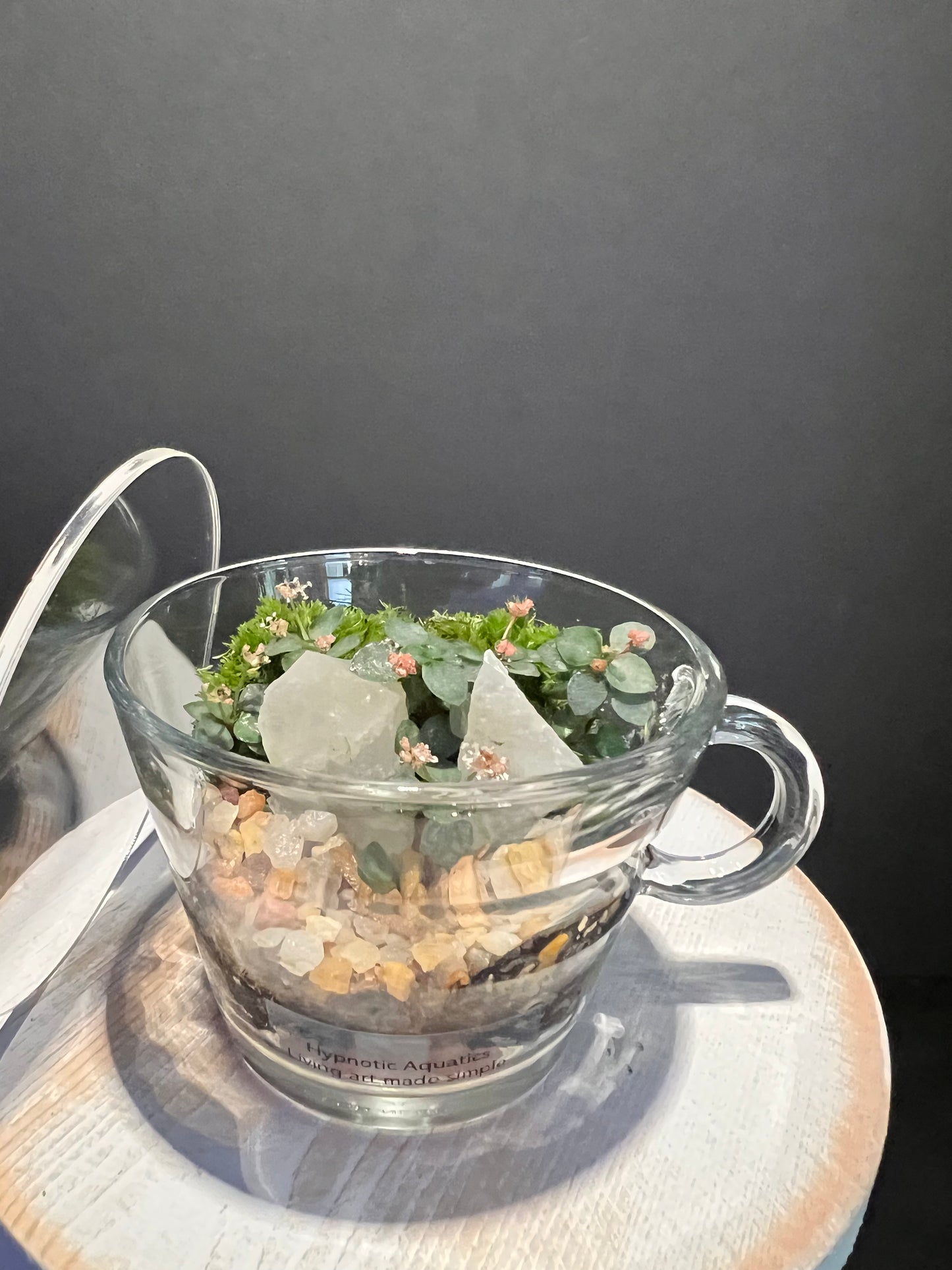 Terrarium 335