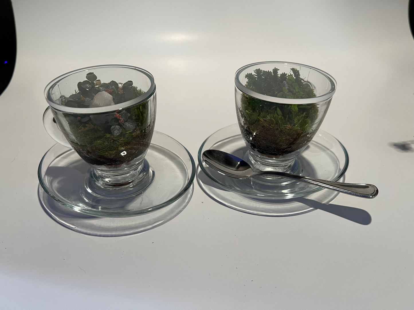 Terrarium # 336 Tea Set
