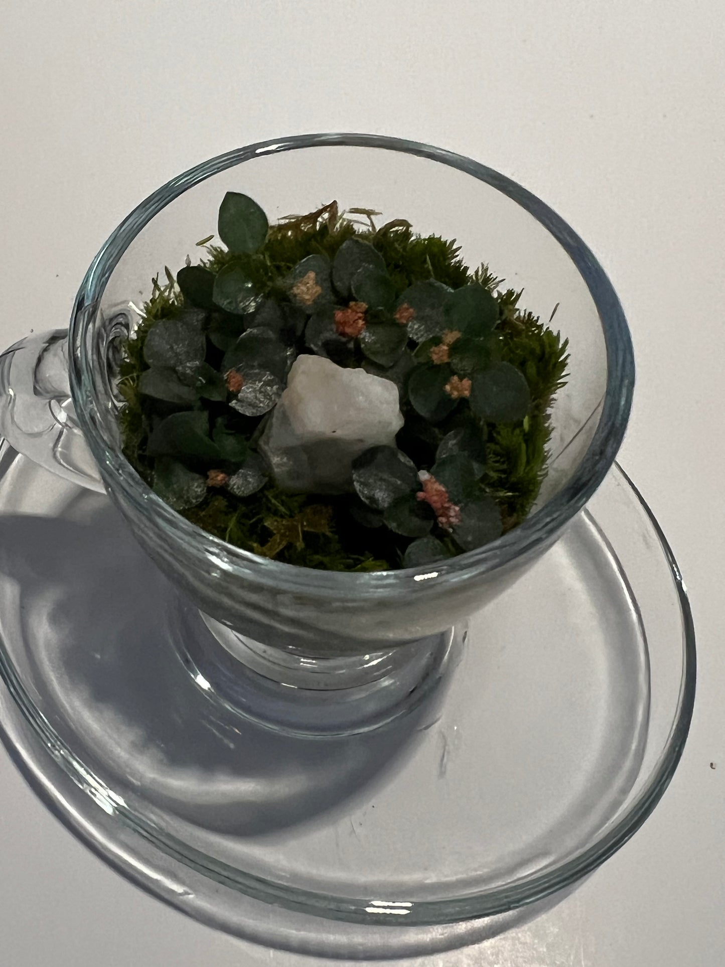 Terrarium # 336 Tea Set