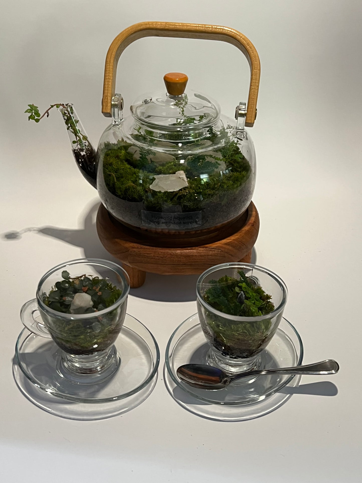 Terrarium # 336 Tea Set