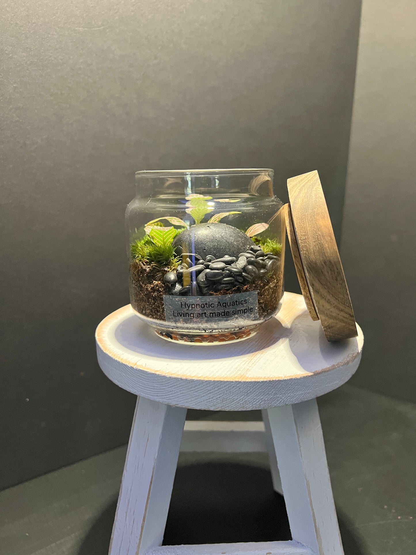 Terrarium 303