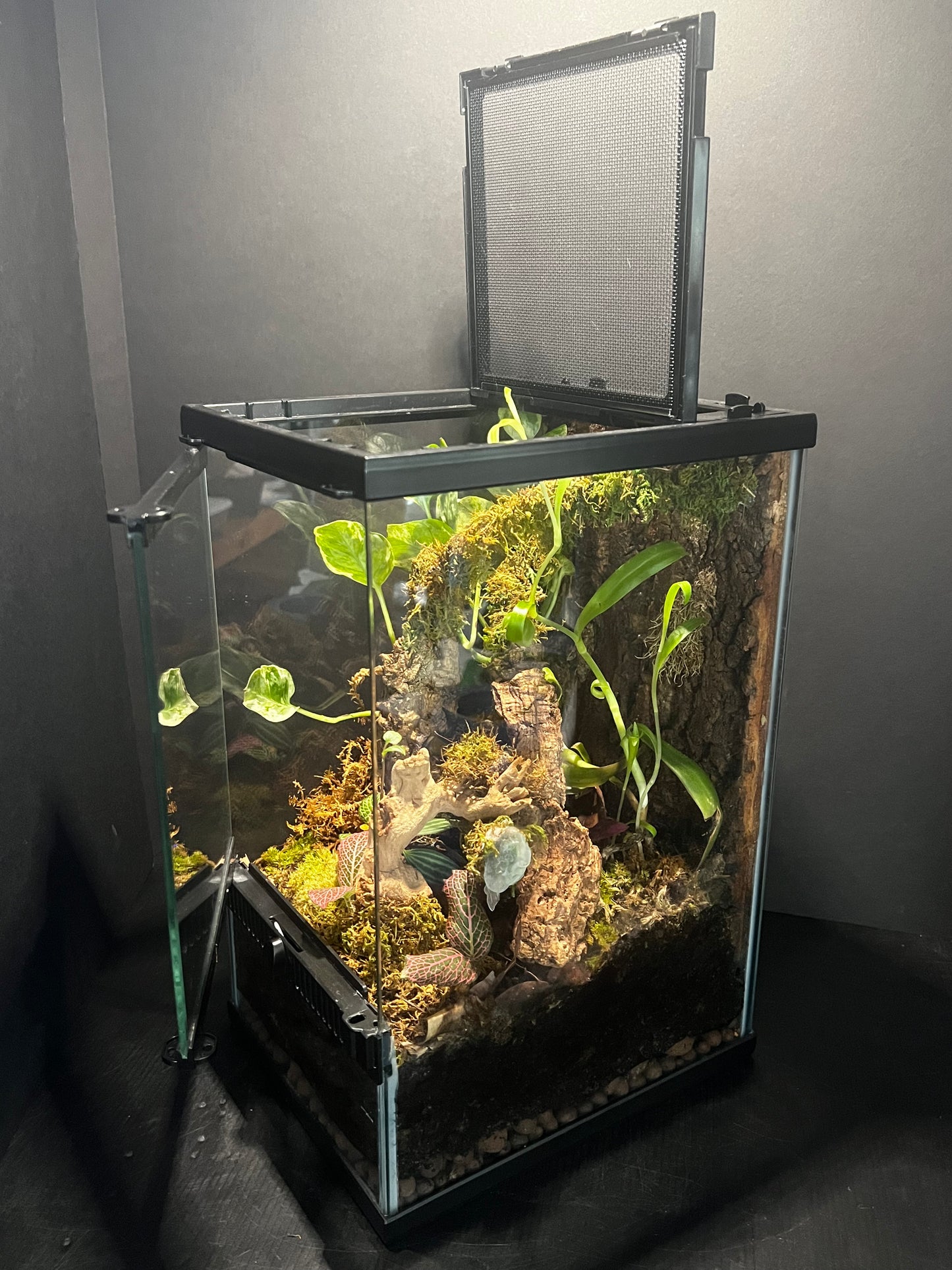 Terrarium Habitat 361