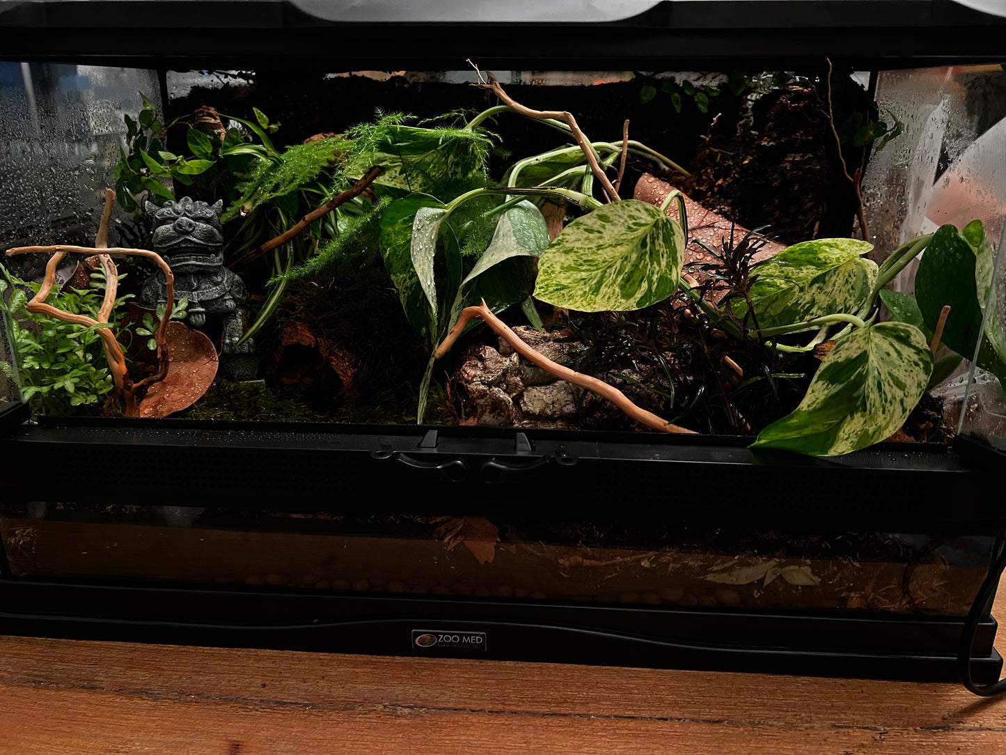 Terrarium 409 Habitat