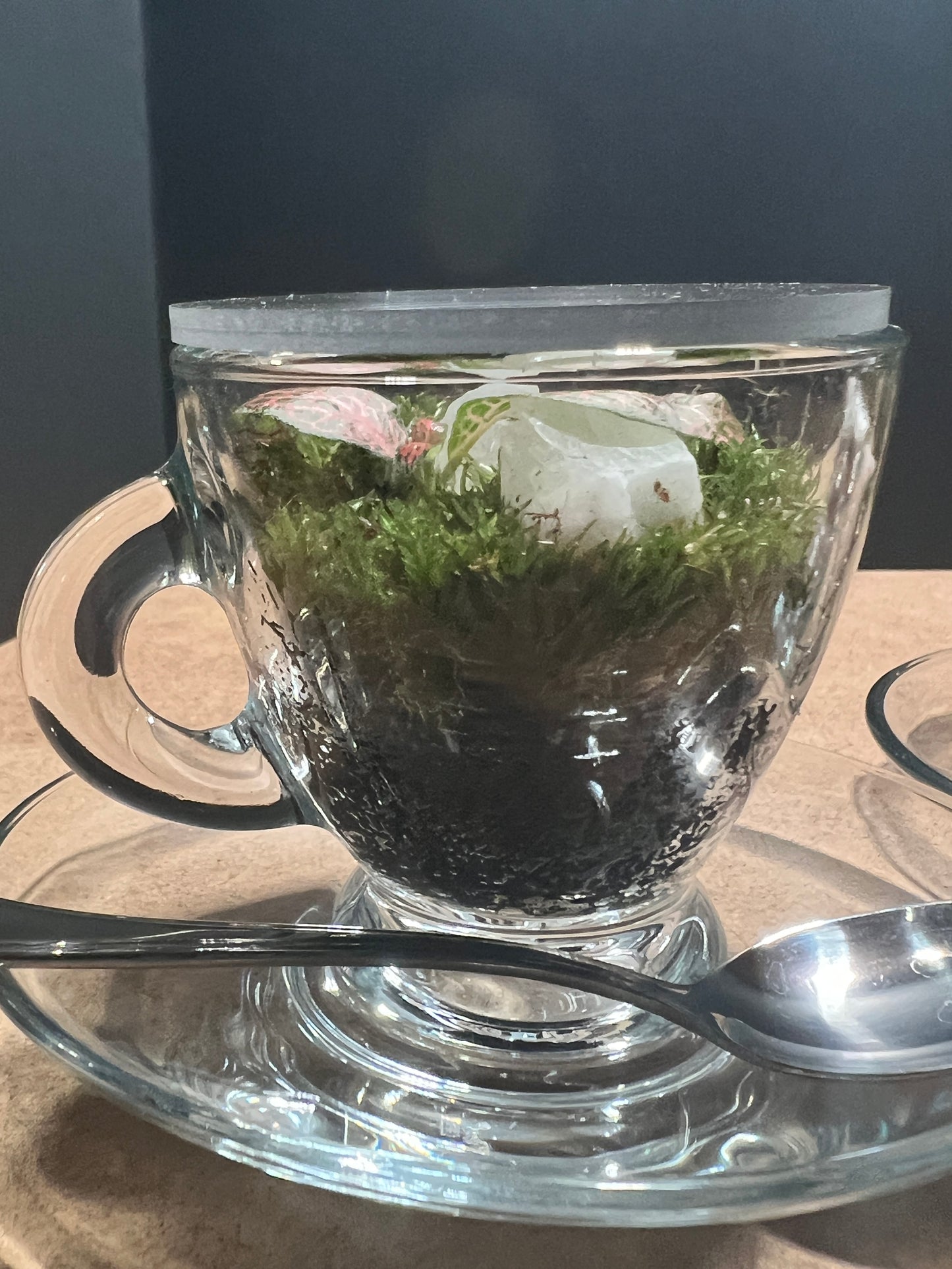 Terrarium (seti) 390