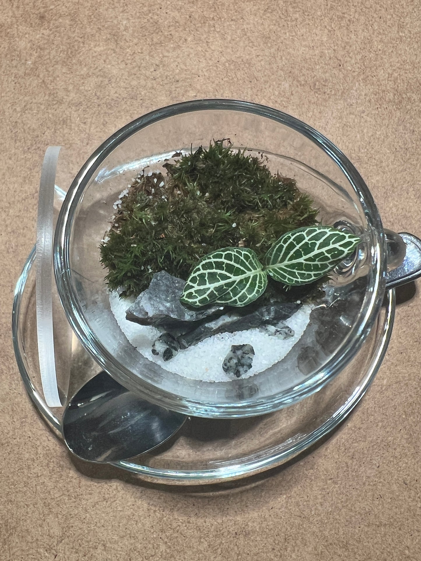 Terrarium (seti) 390