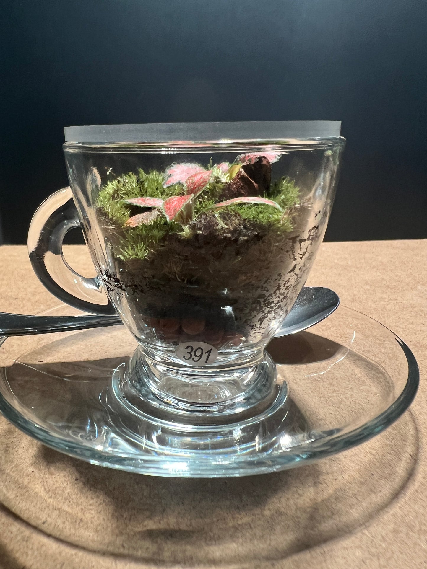 Terrarium (seti) 391