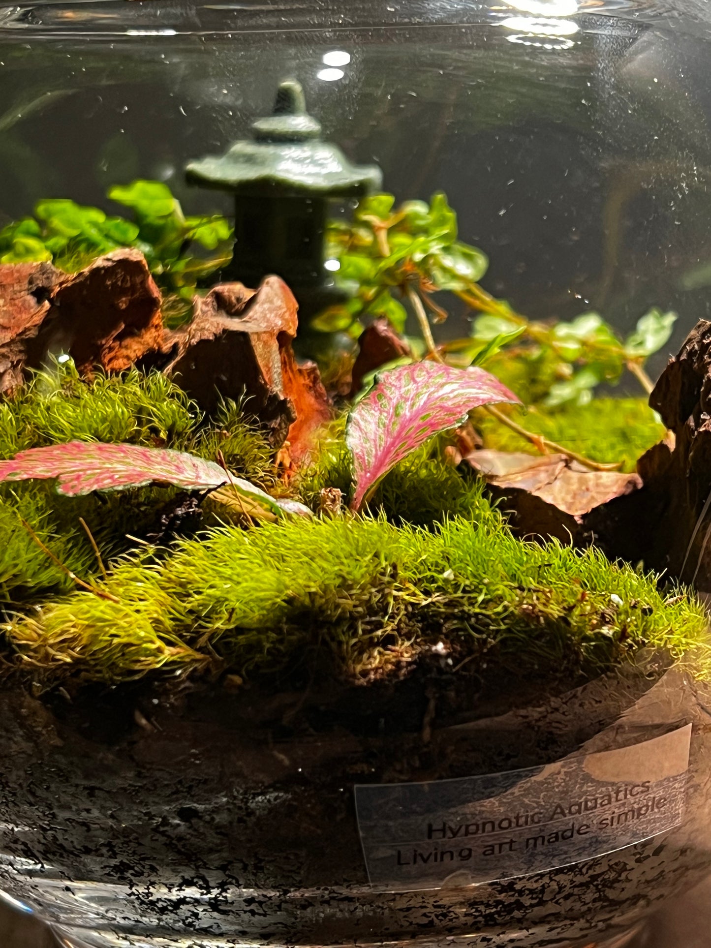 Terrarium 400