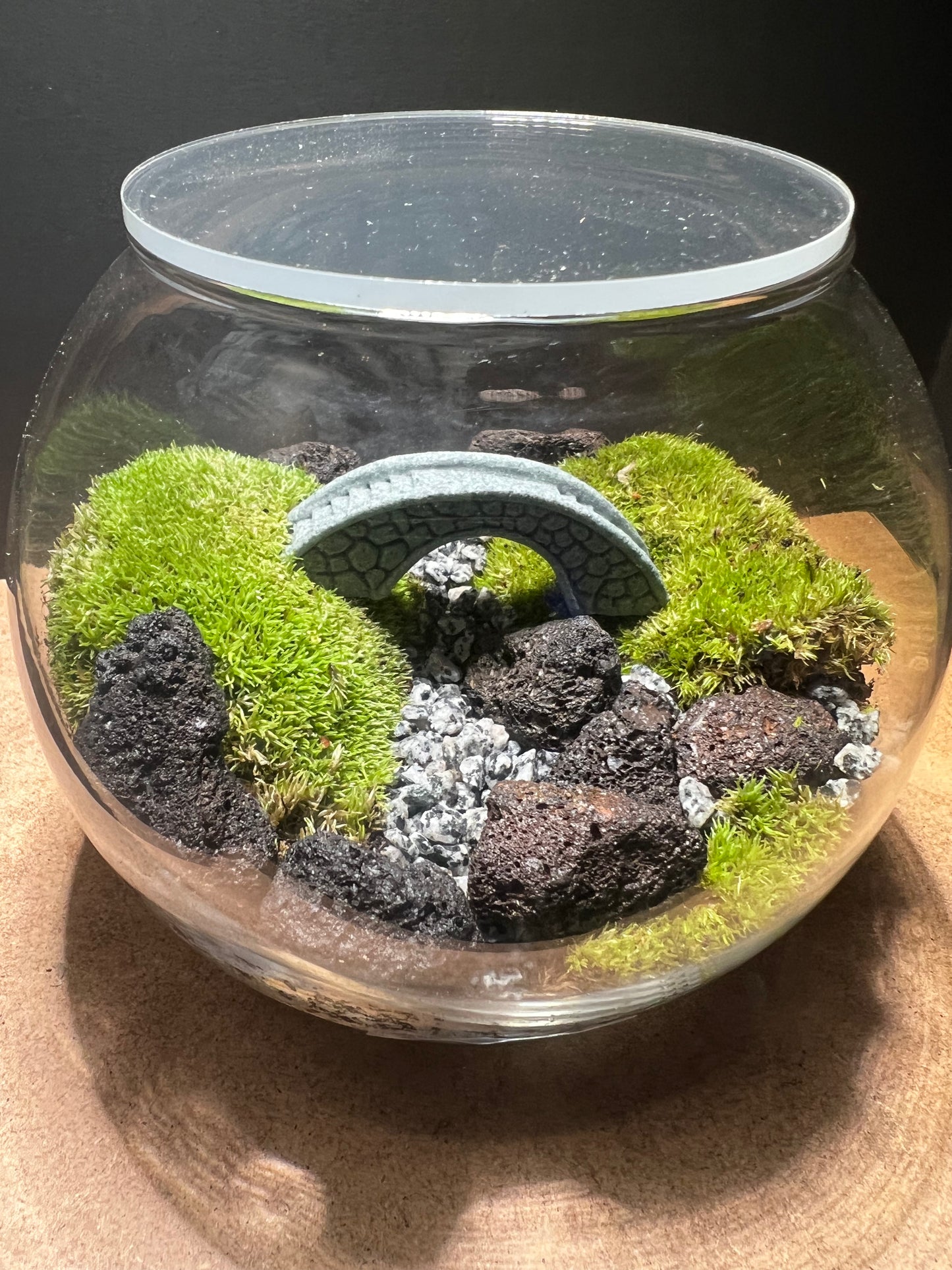 Terrarium 406