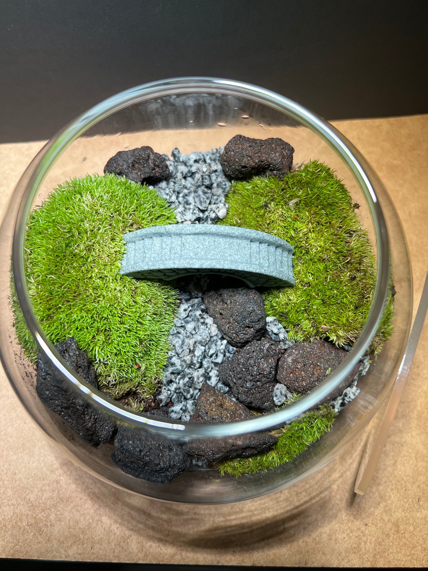 Terrarium 406