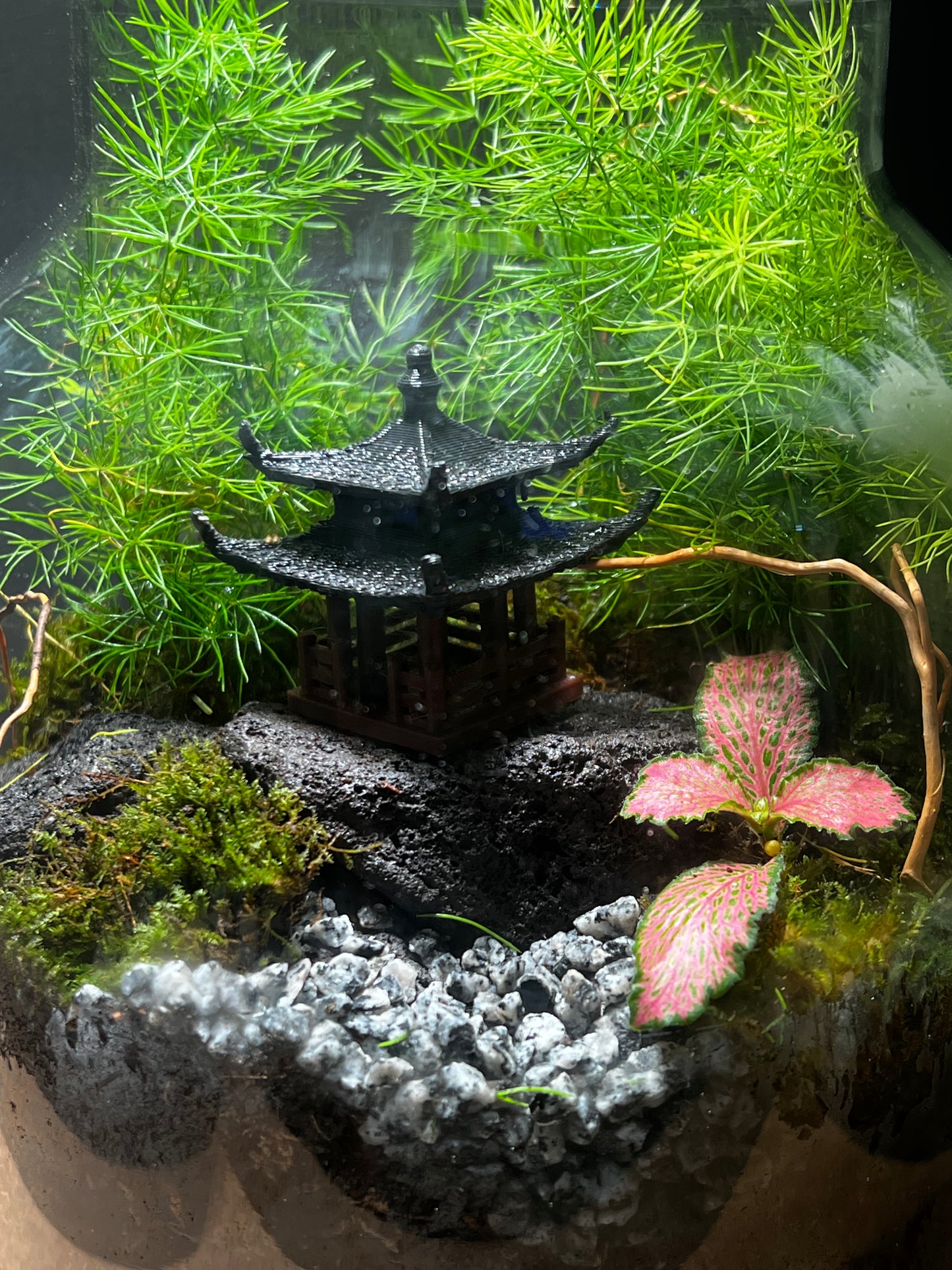 Terrarium 407