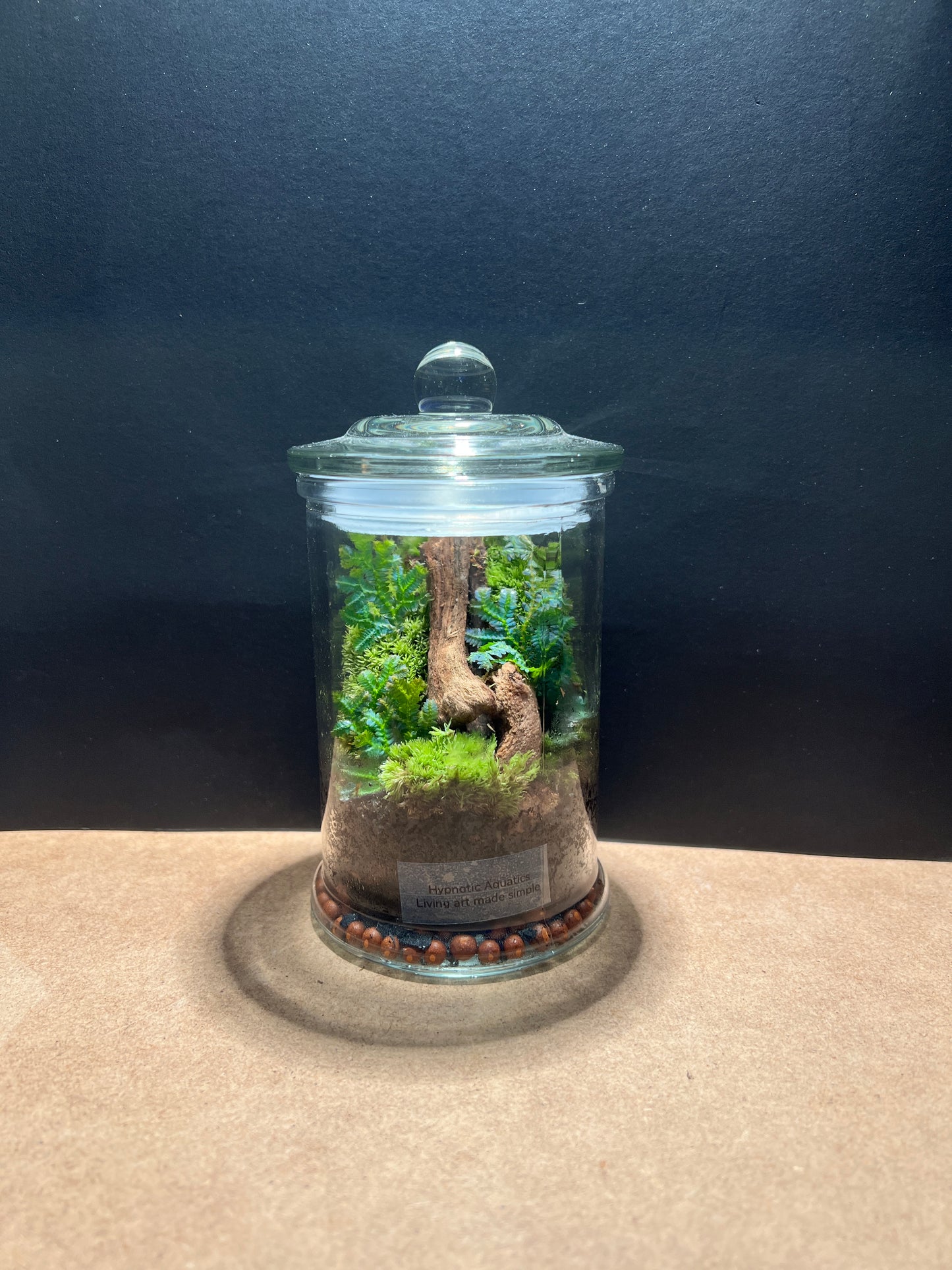 Terrarium 414