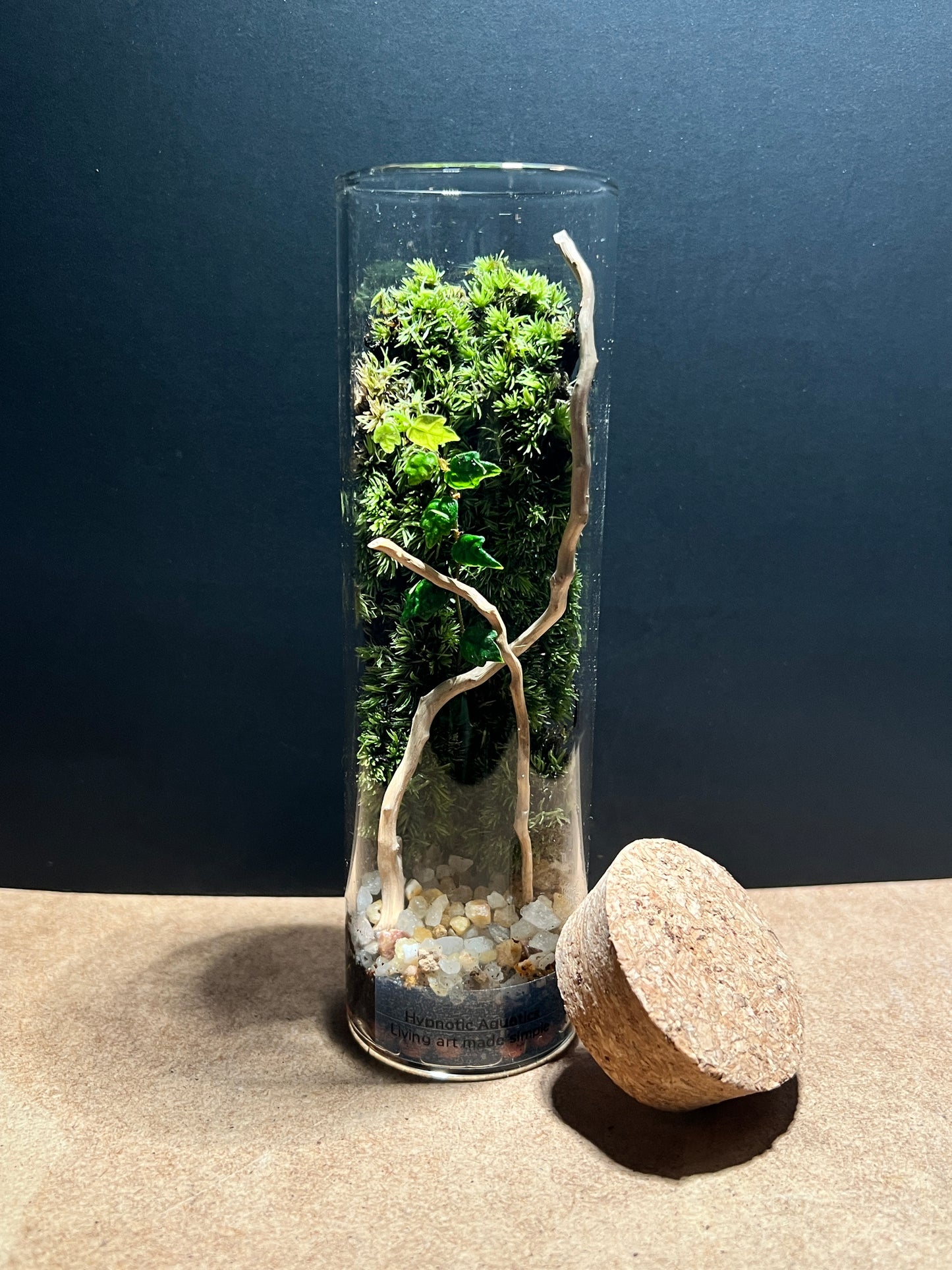 Terrarium 420