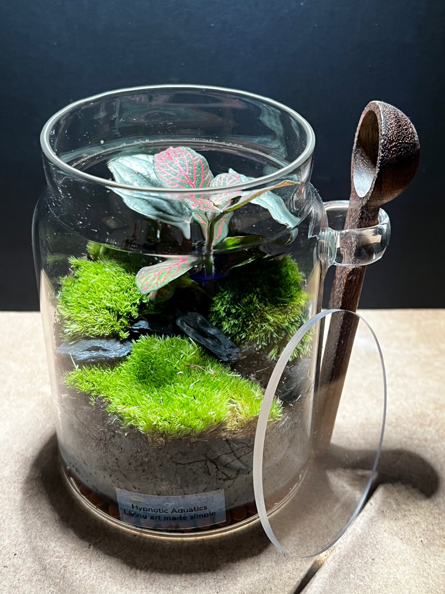 Terrarium 449