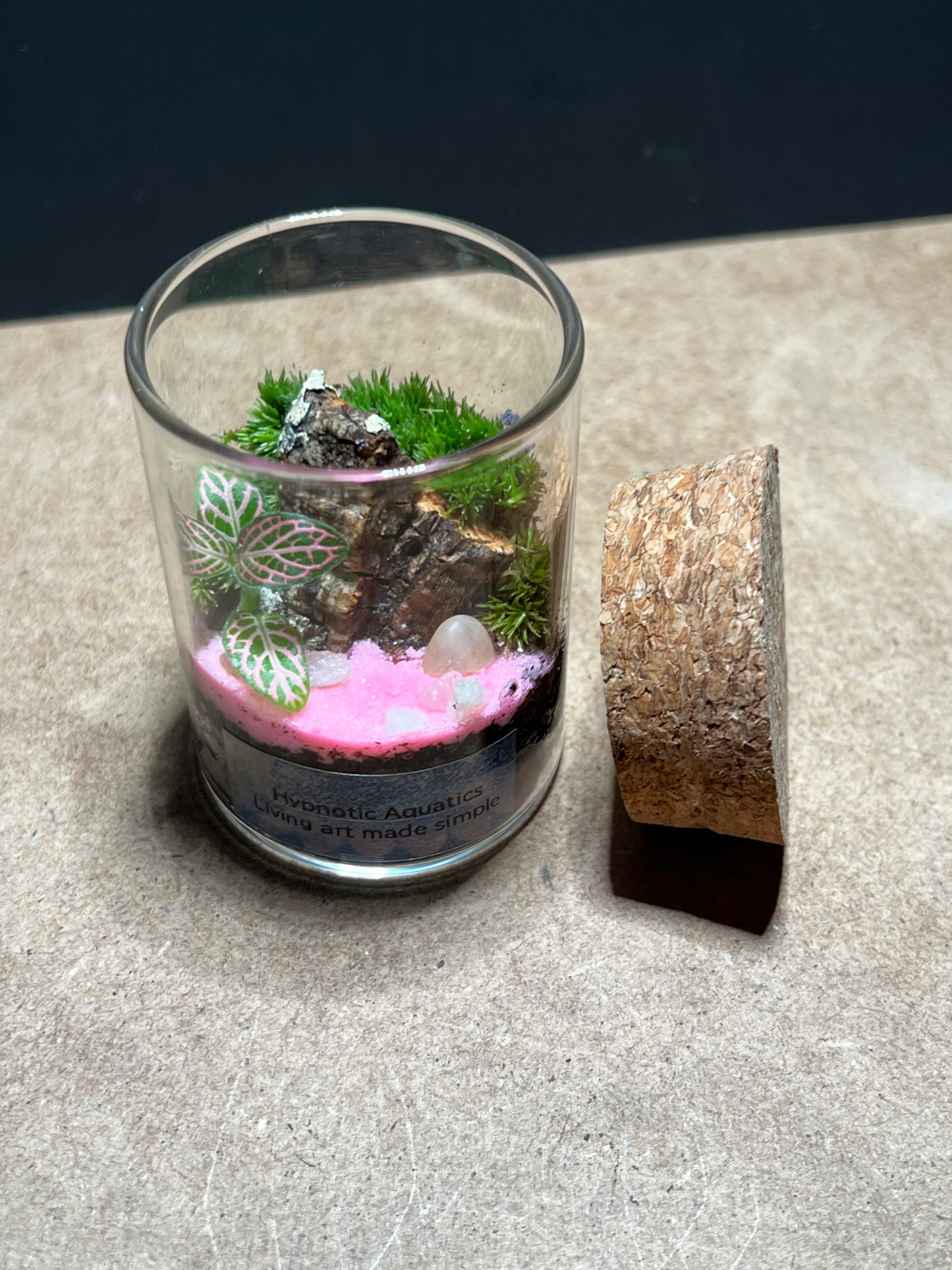 Terrarium 454