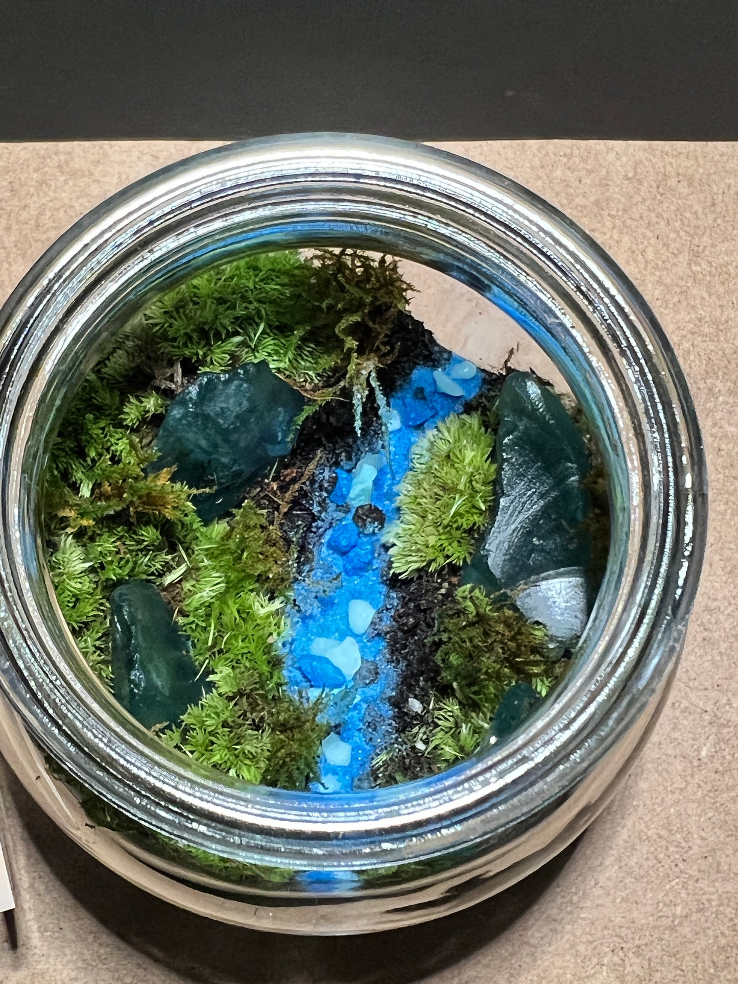 Terrarium 488