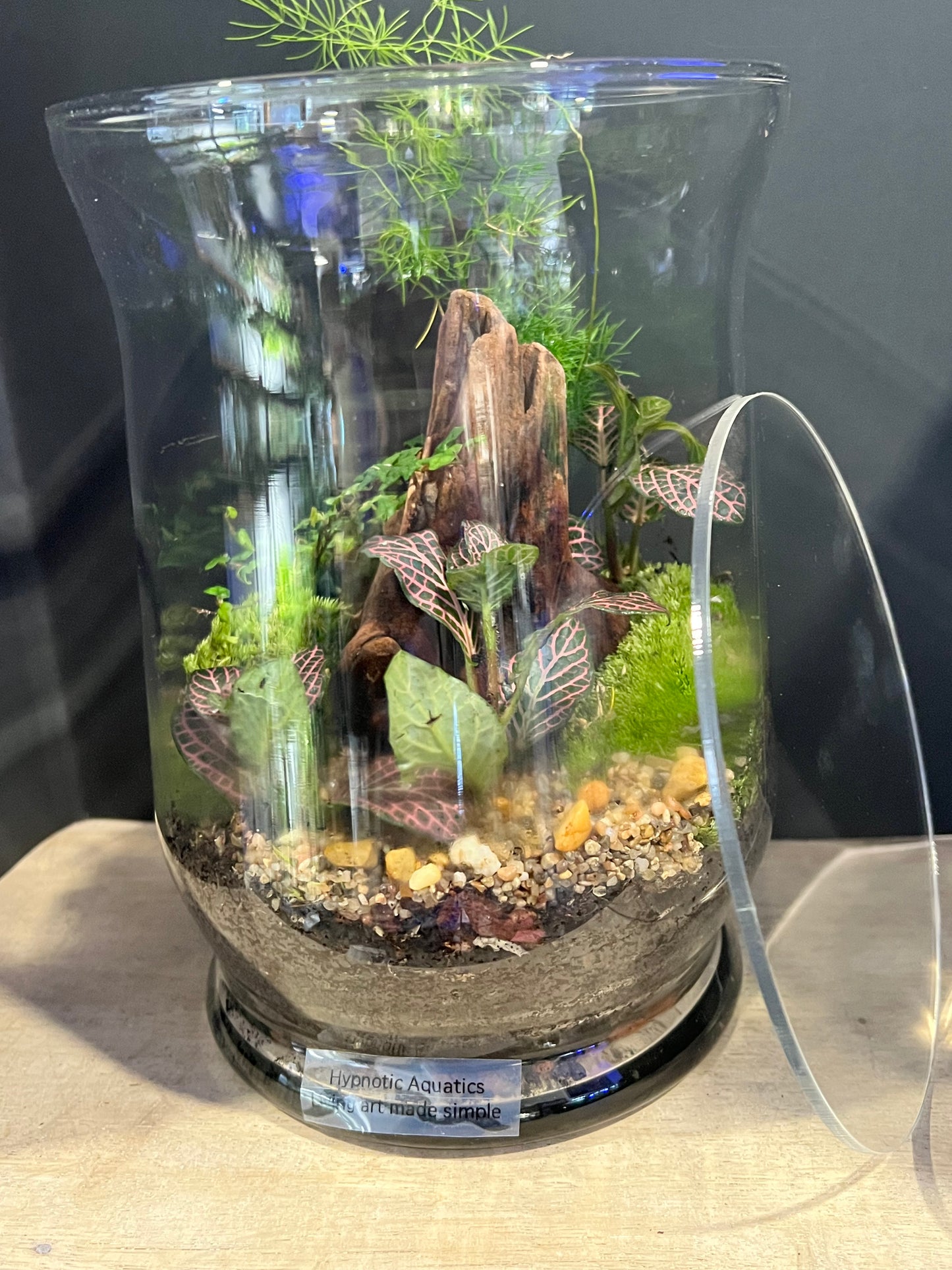 Terrarium 635