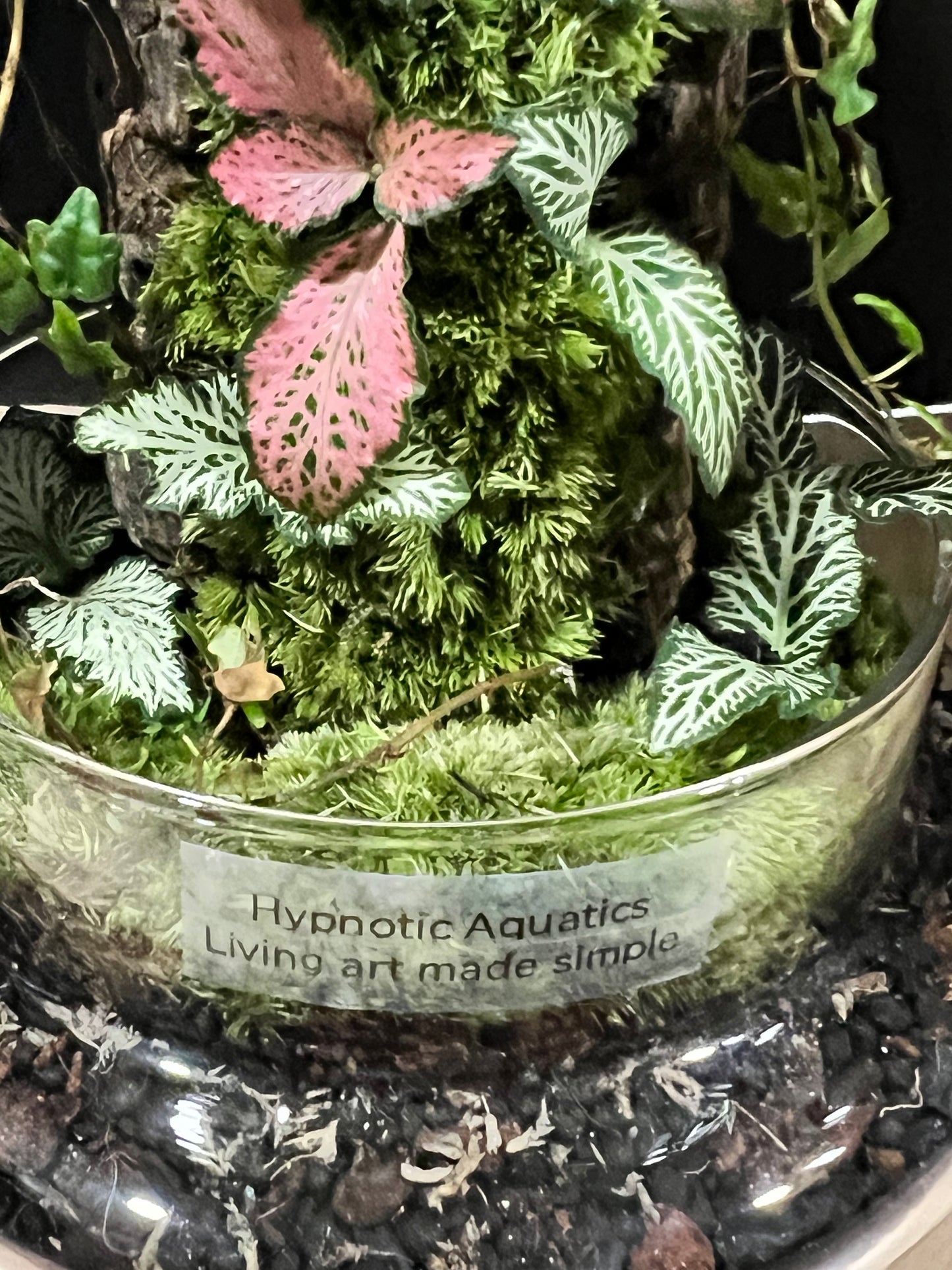 Terrarium 688