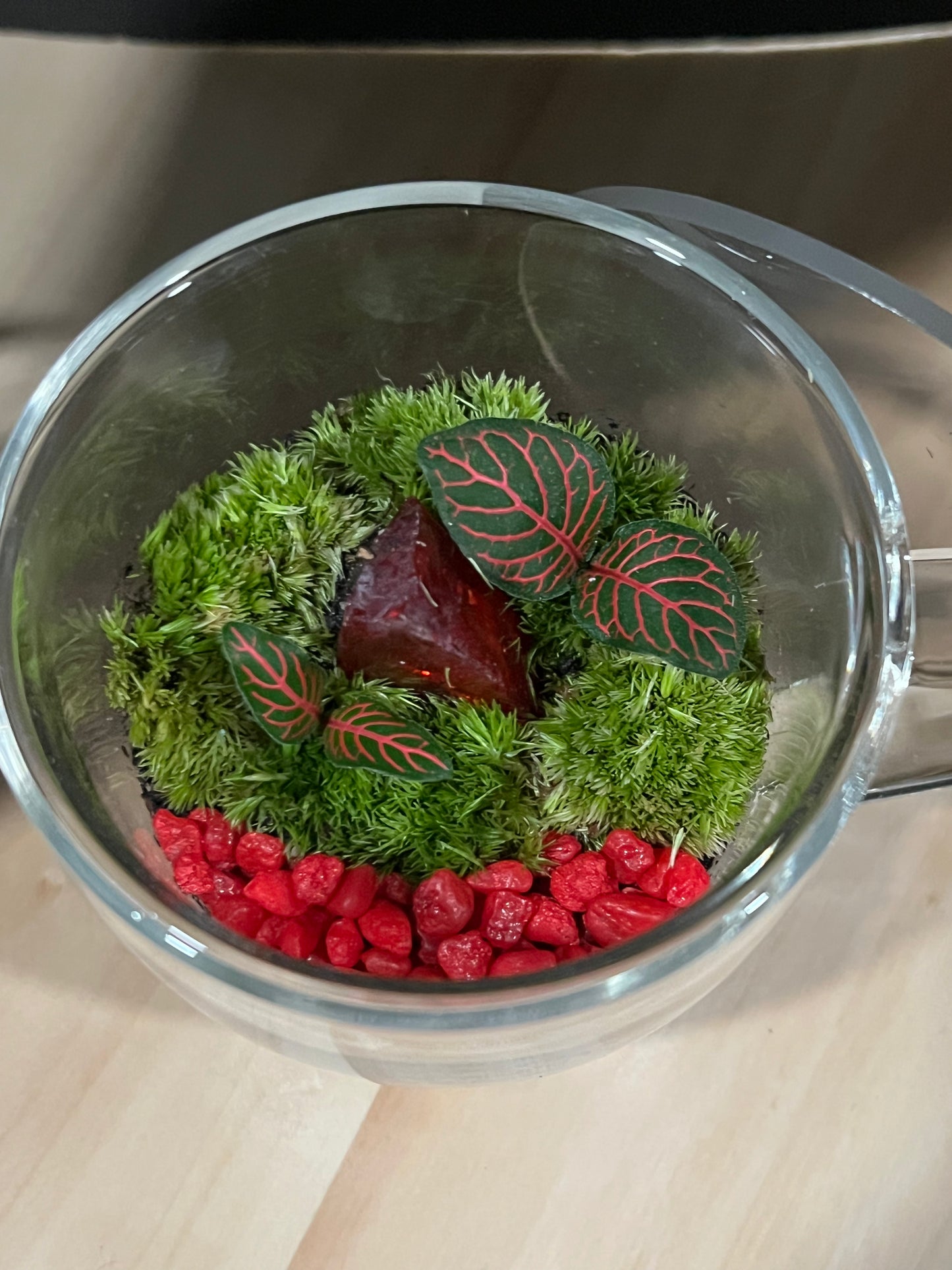 Terrarium 693