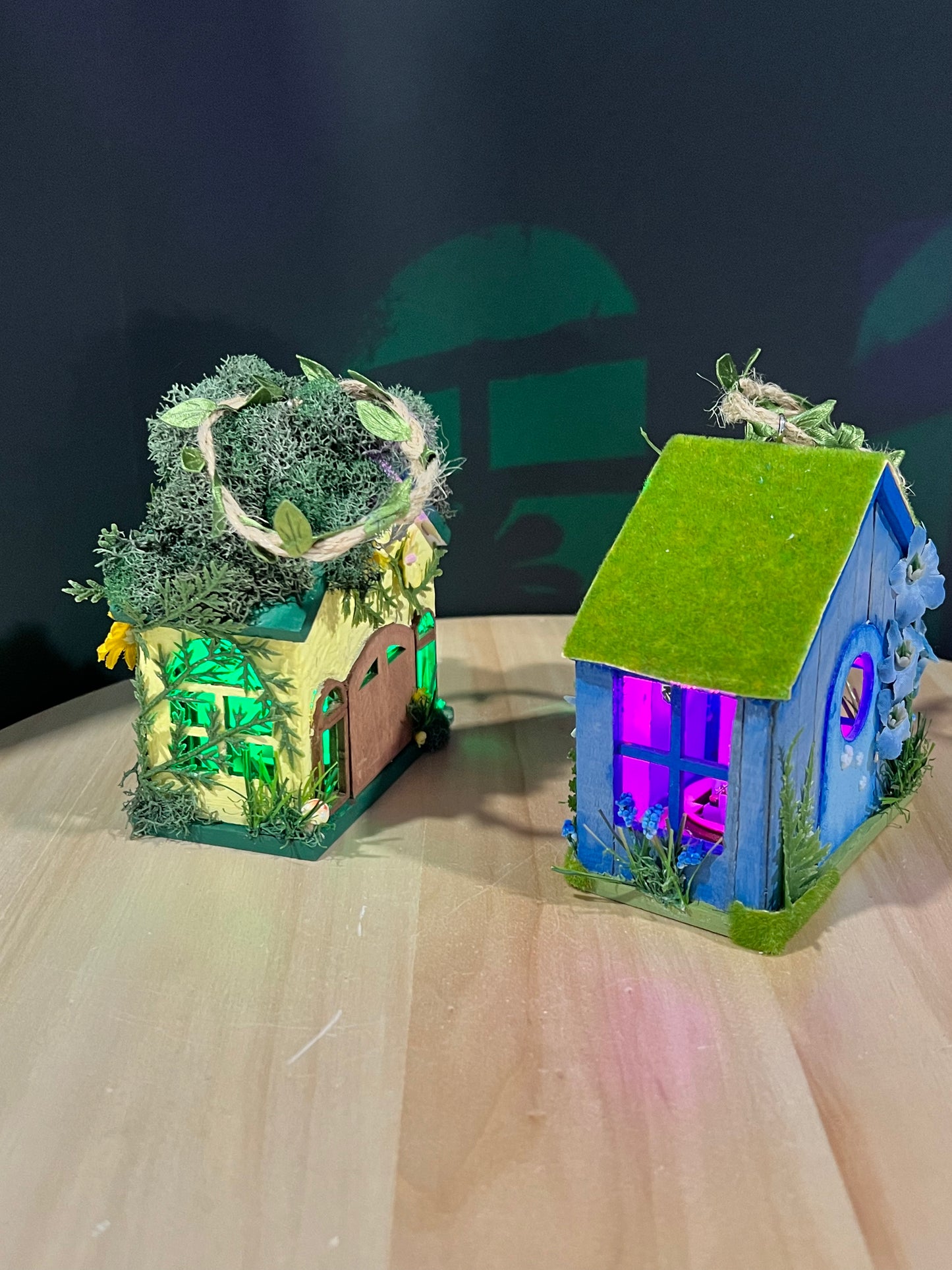 Fairy House Nightlights