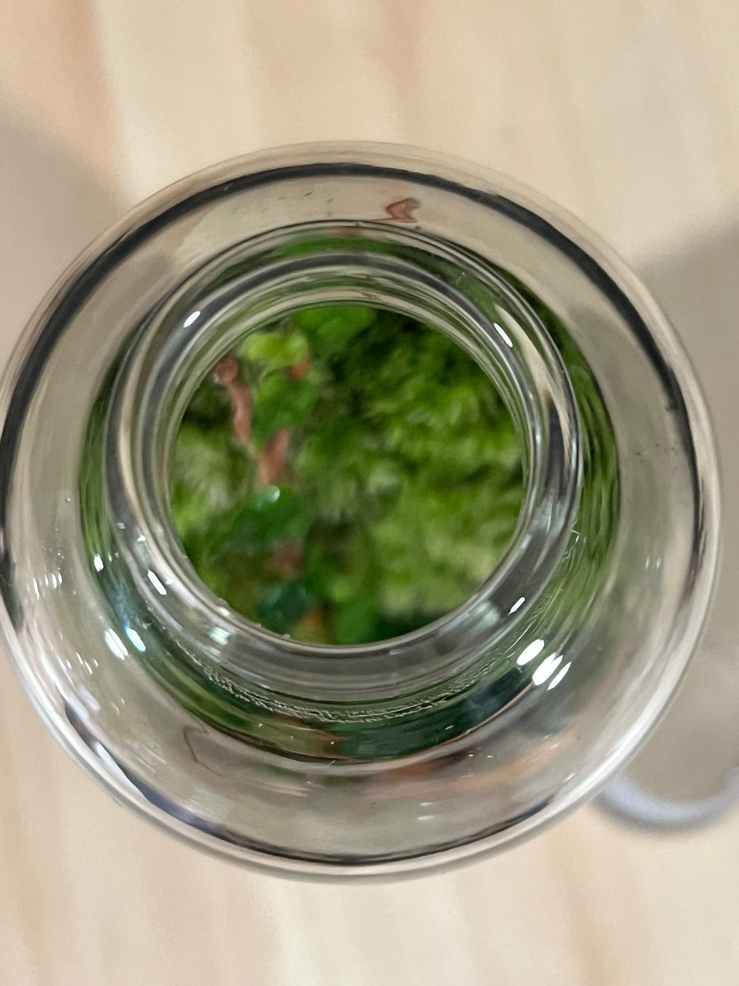 Terrarium 714