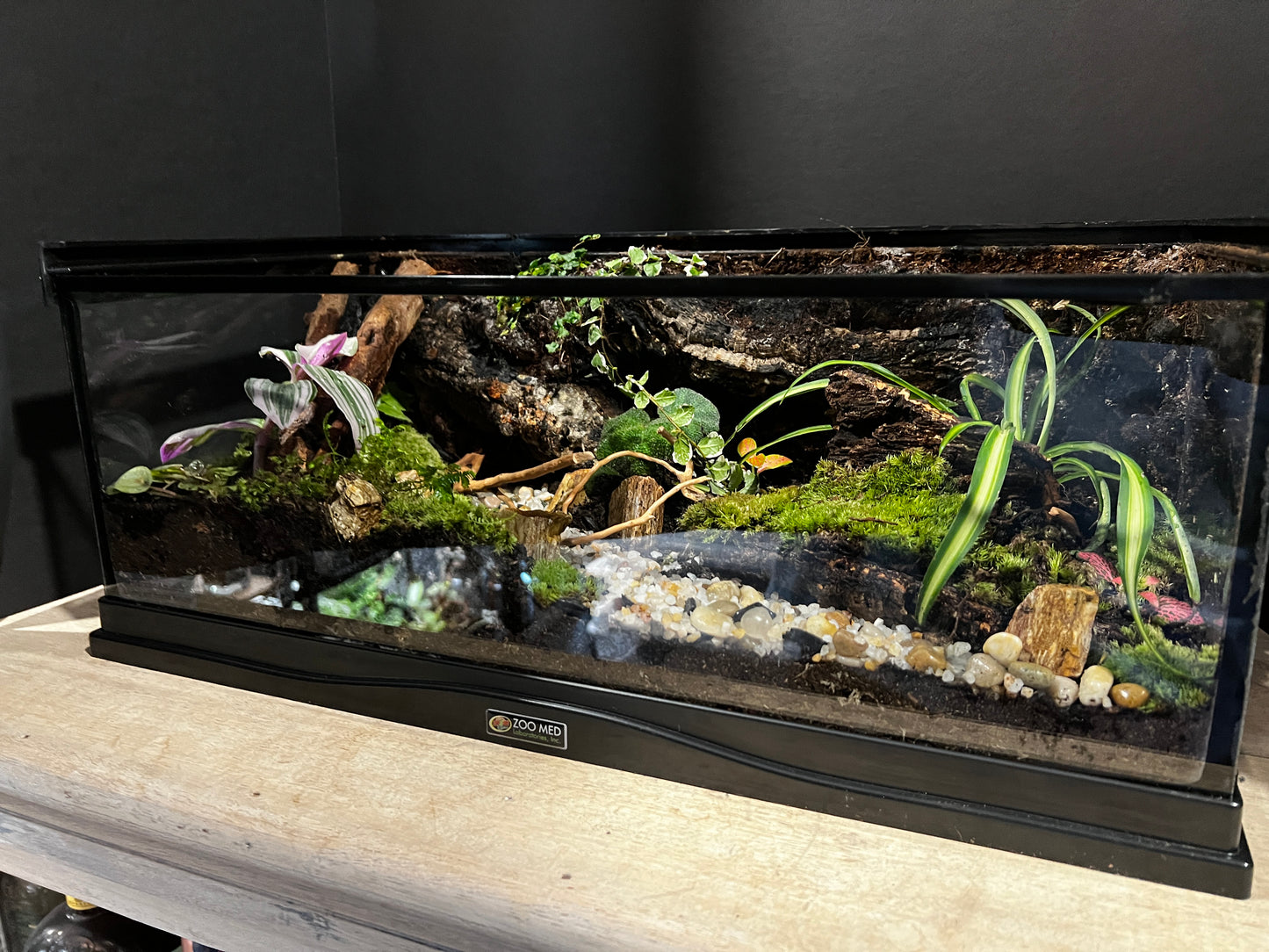 Terrarium 413 Habitat