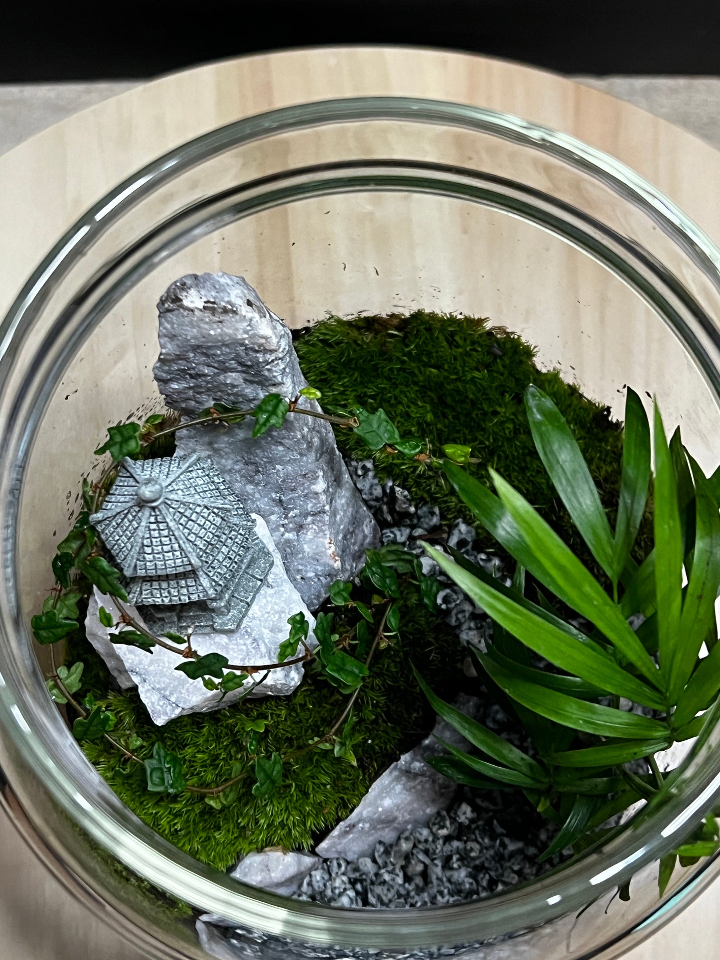 Terrarium 780