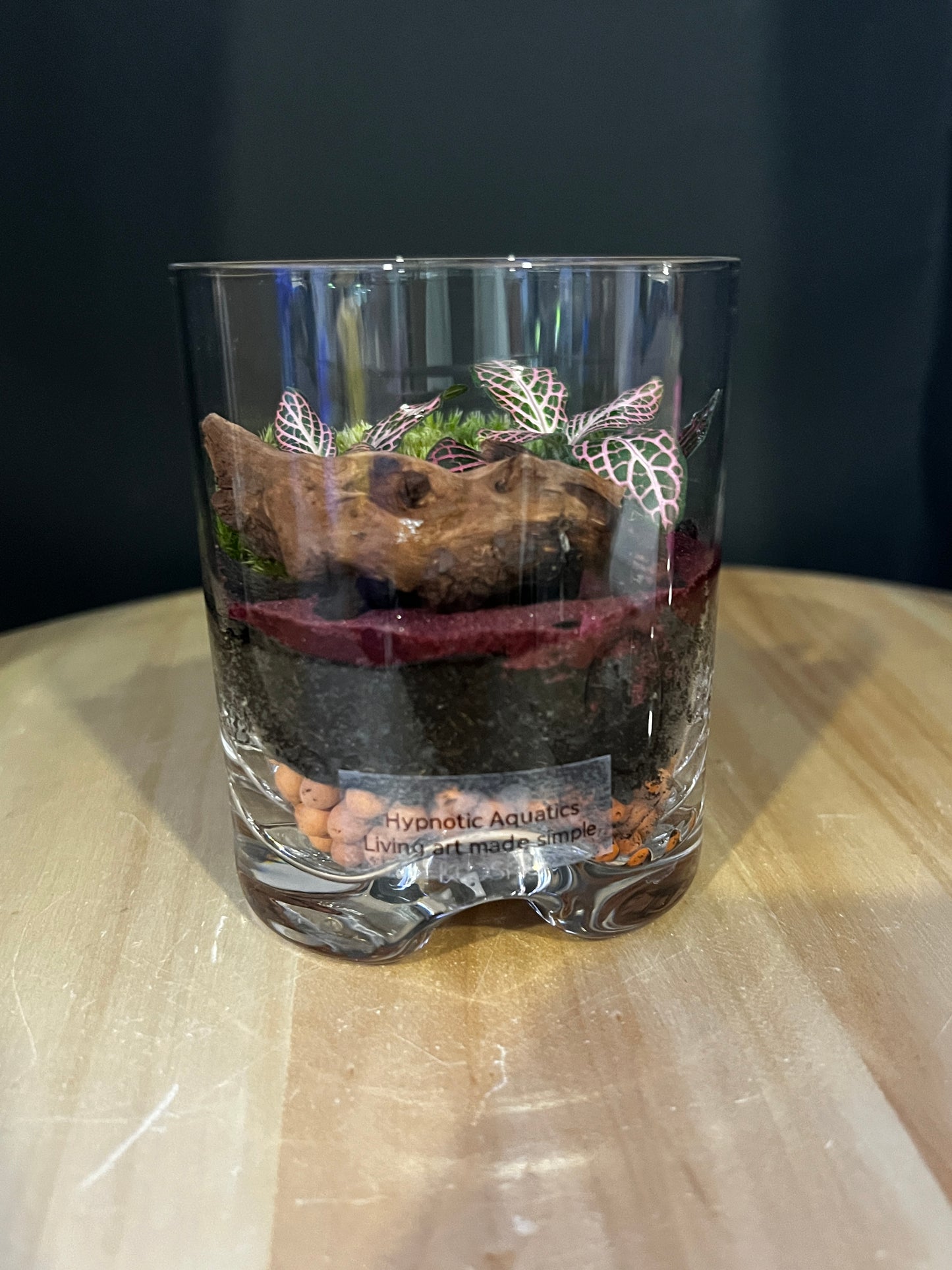 Terrarium 879