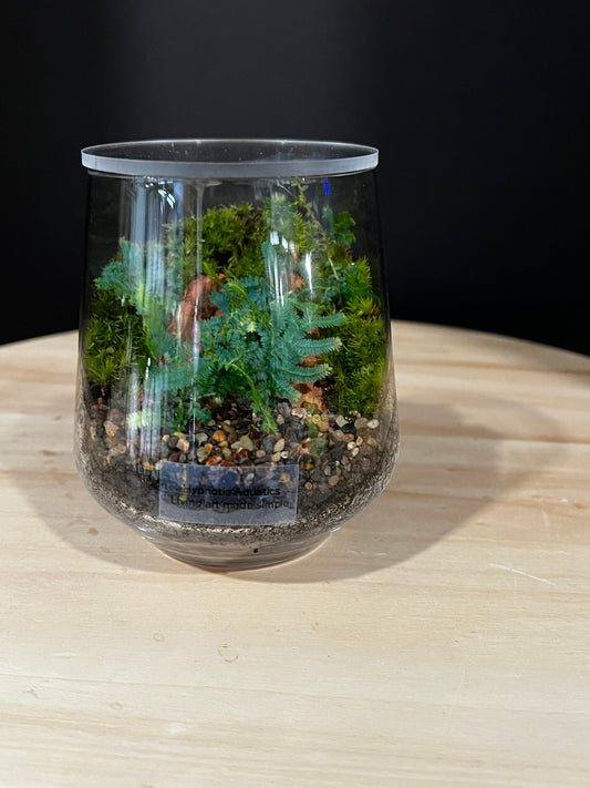 Terrarium 995