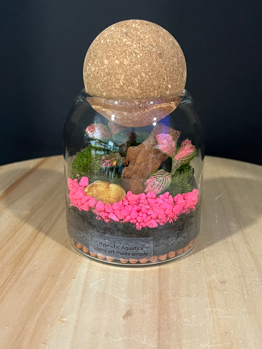 Terrarium 976