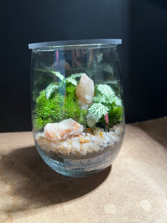 Terrarium 895