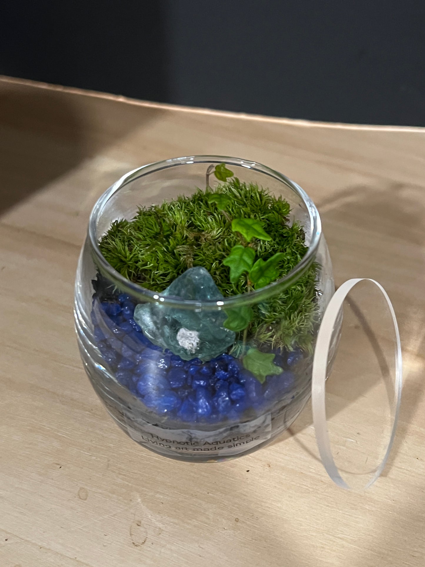 Terrarium 804