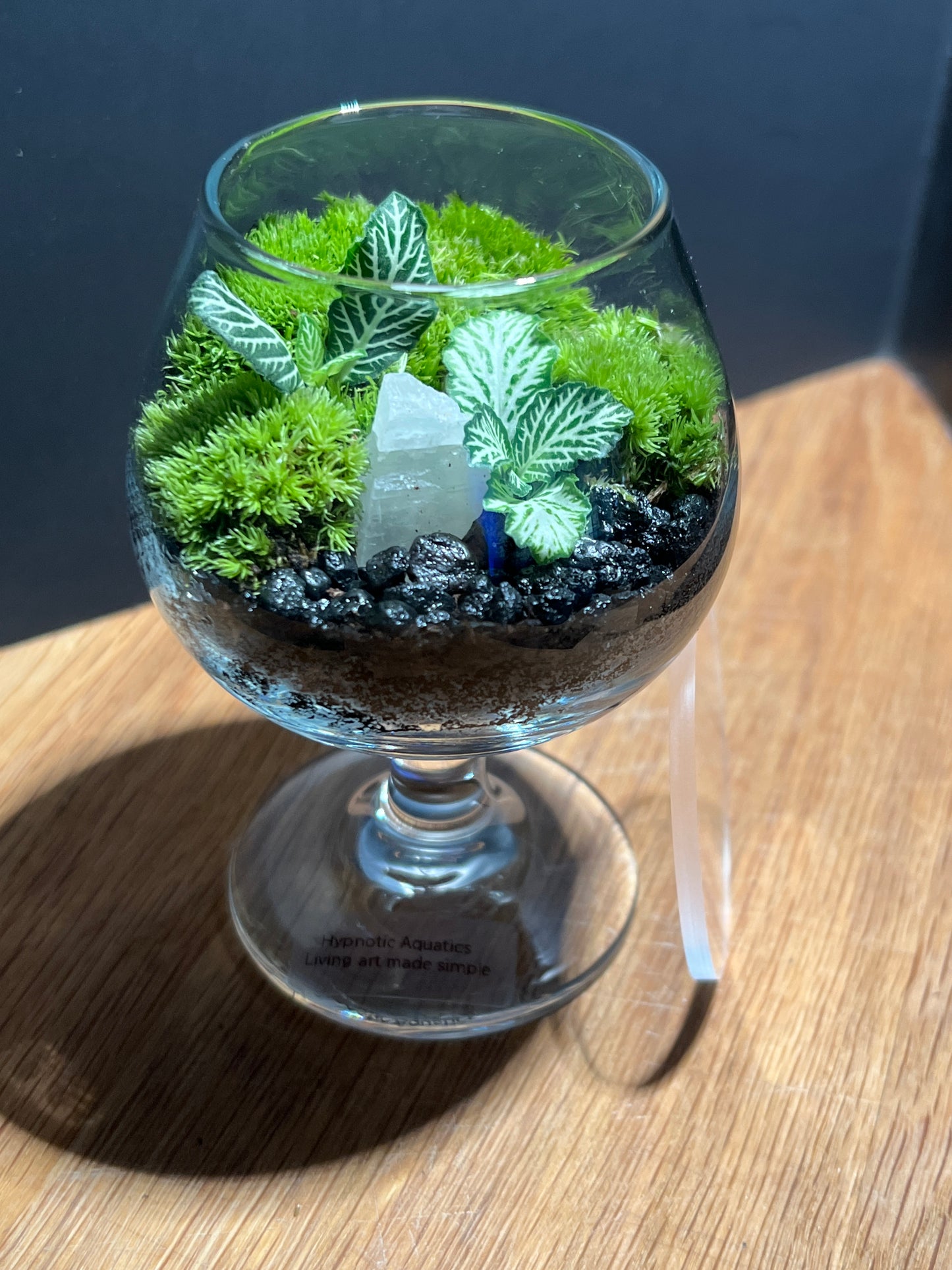 Terrarium 522