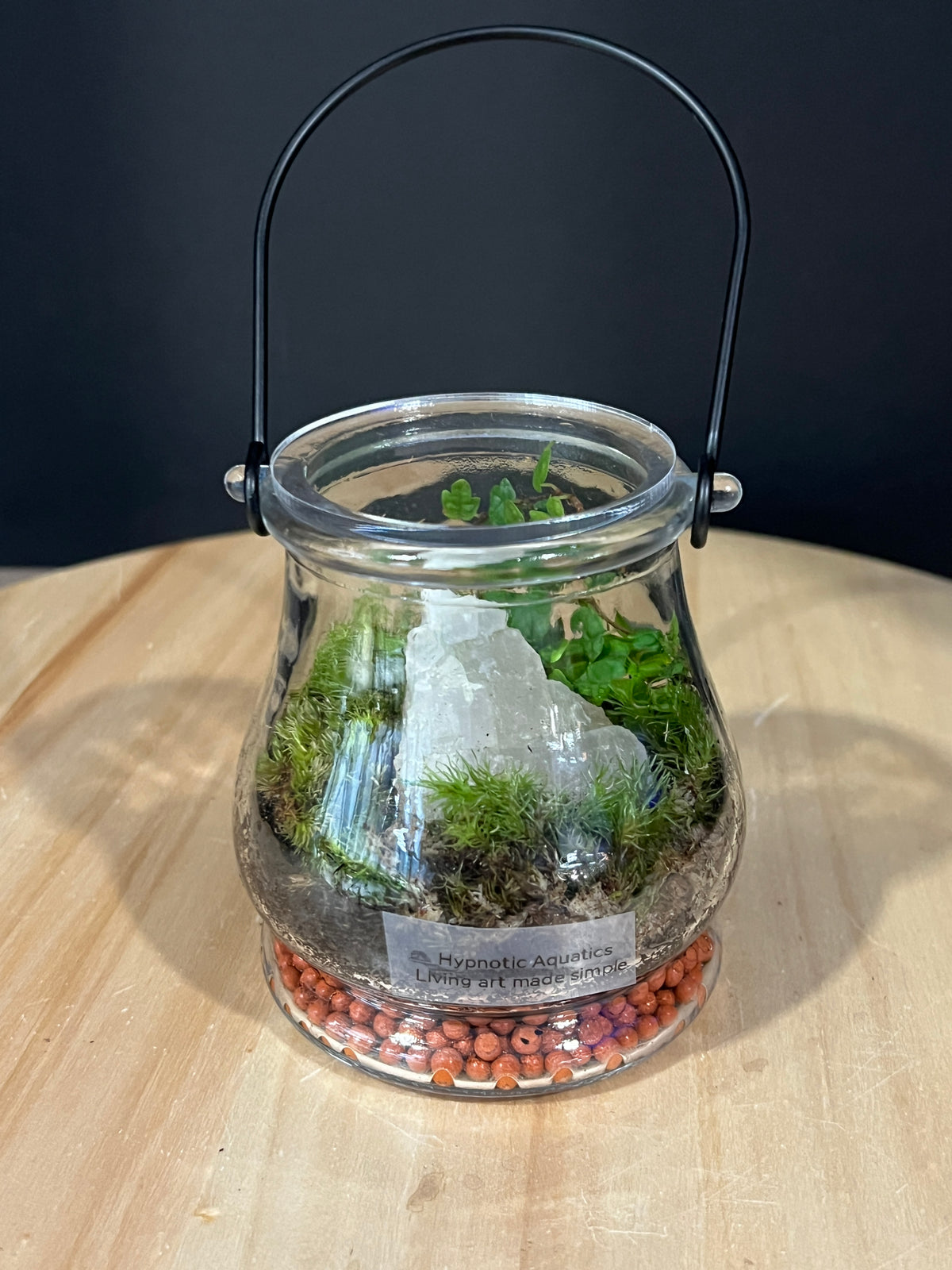 Terrarium 983