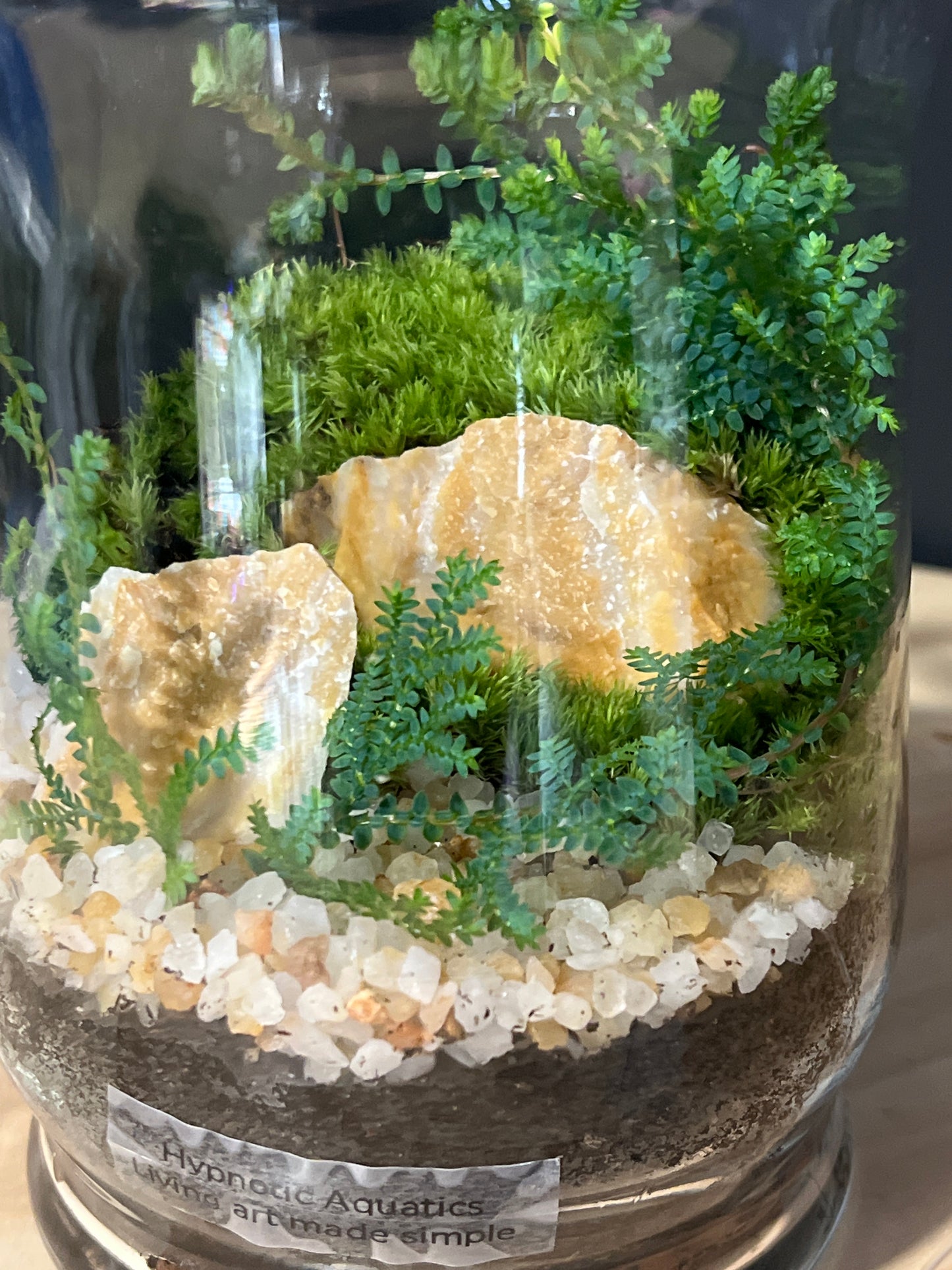 Terrarium 730