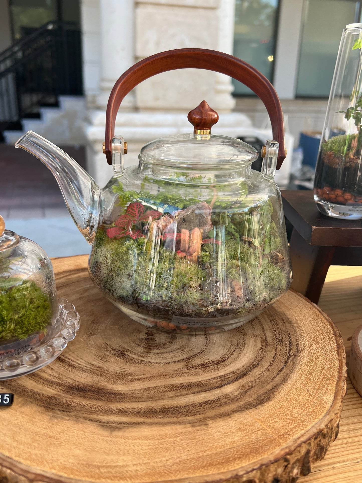Terrarium 856