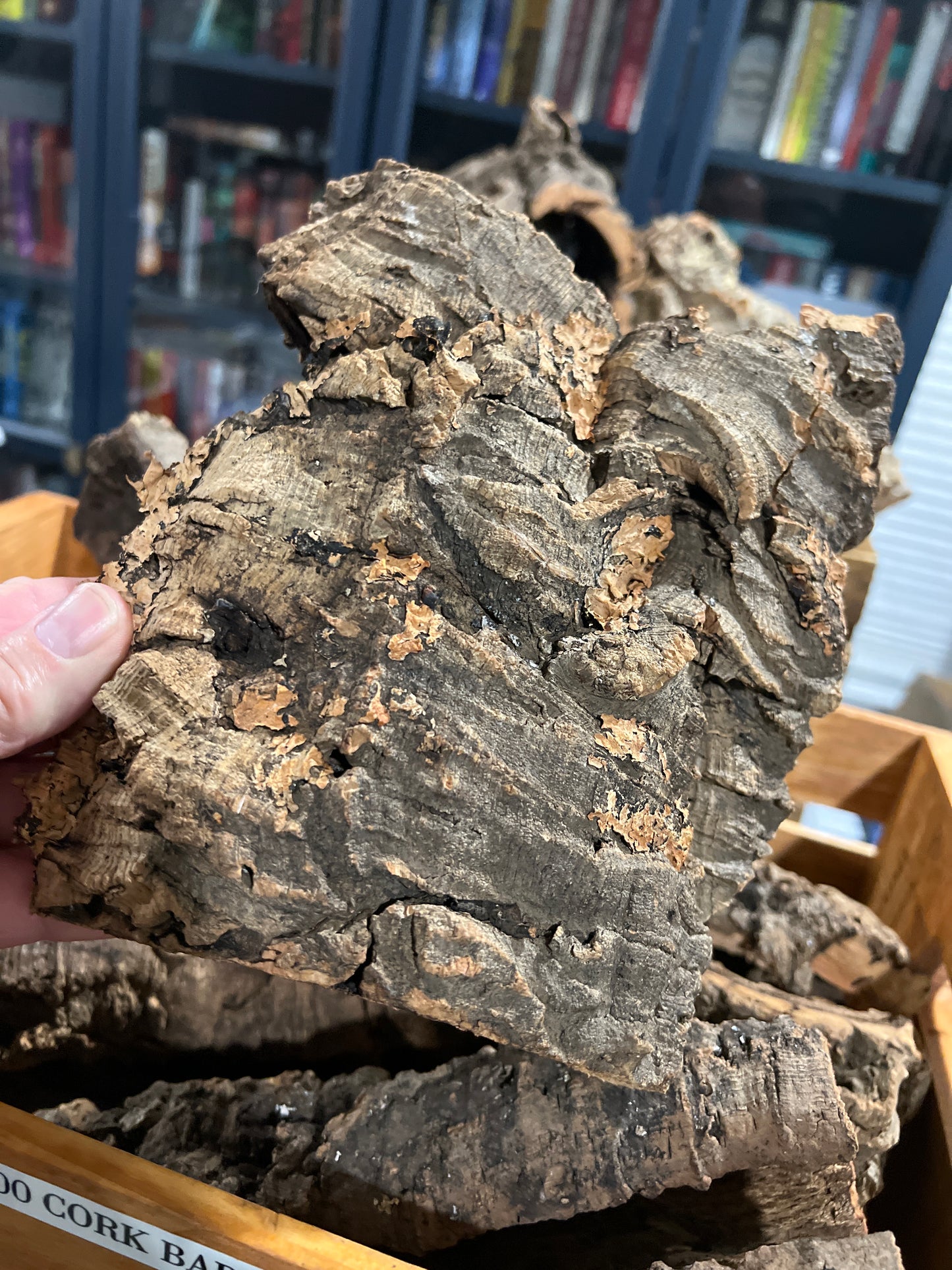 Cork Bark Small