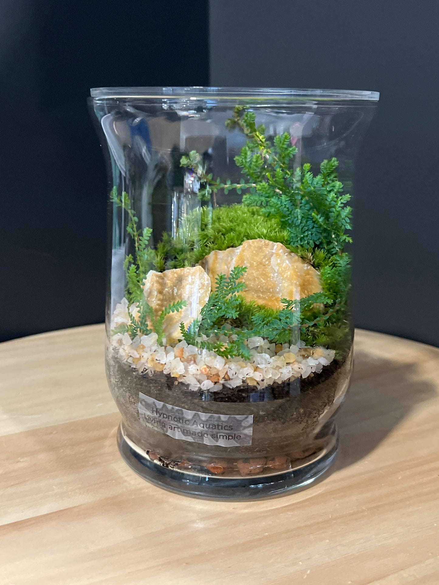 Terrarium 730