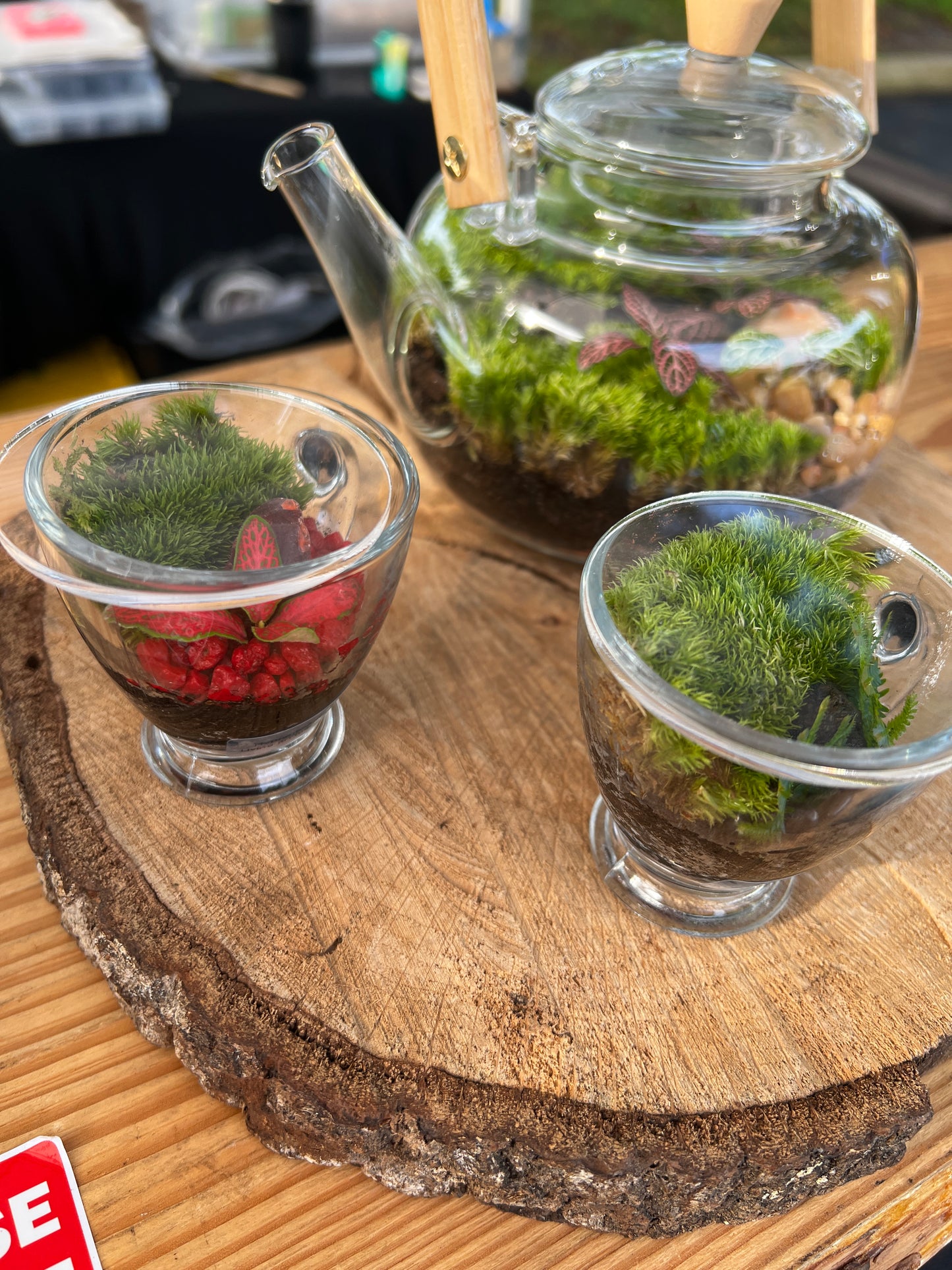 Terrarium (seti) 920