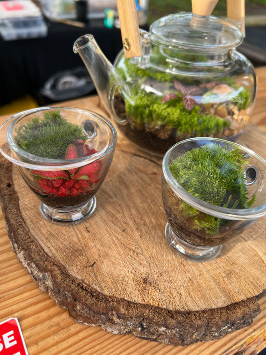 Terrarium (seti) 920