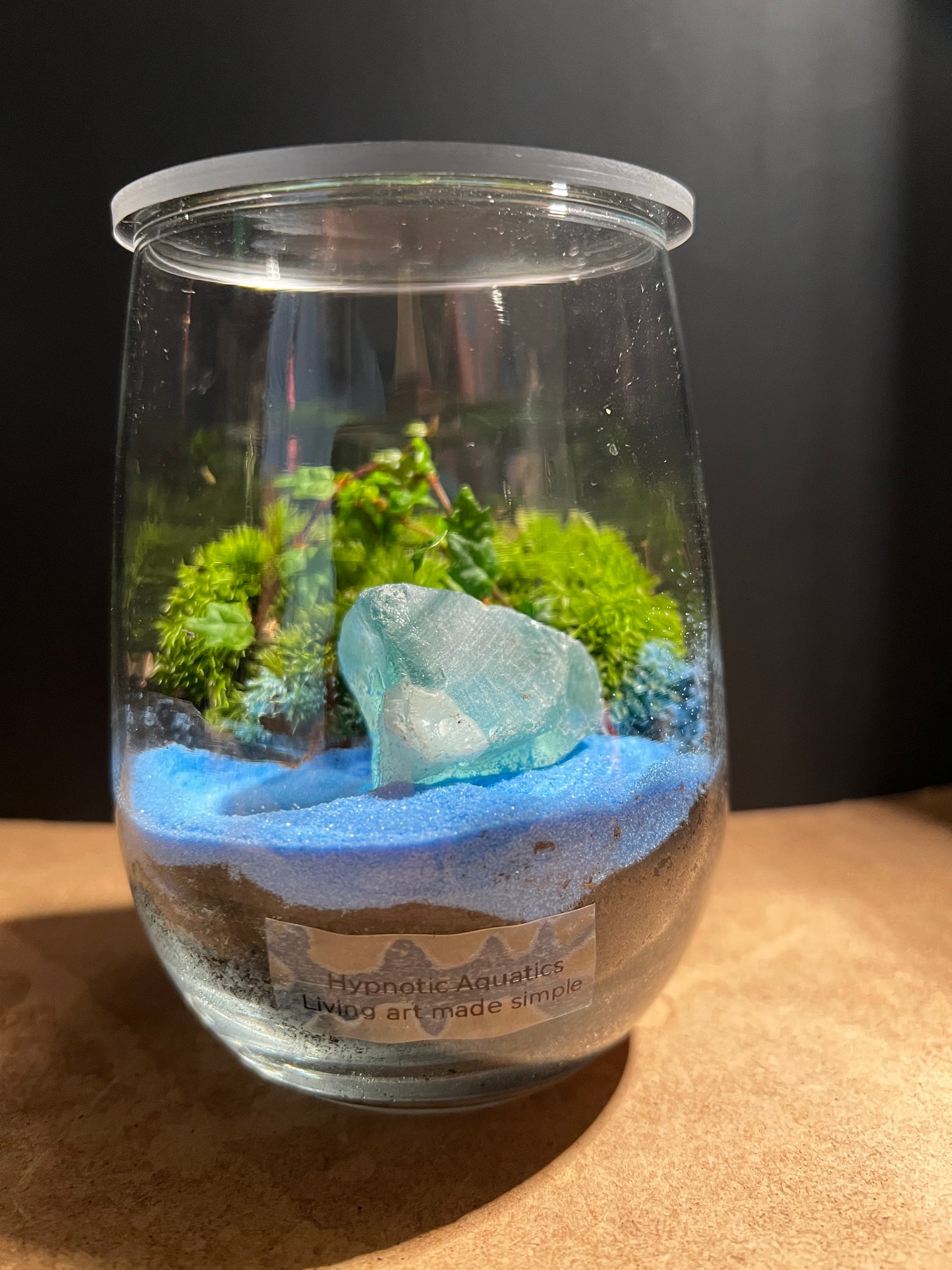 Terrarium 894