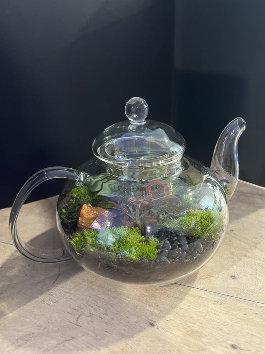 Terrarium 892