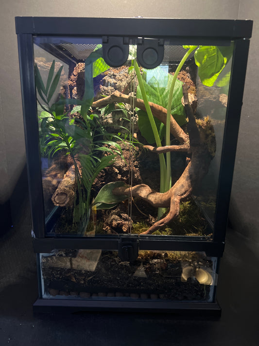 Terrarium 359 Habitat